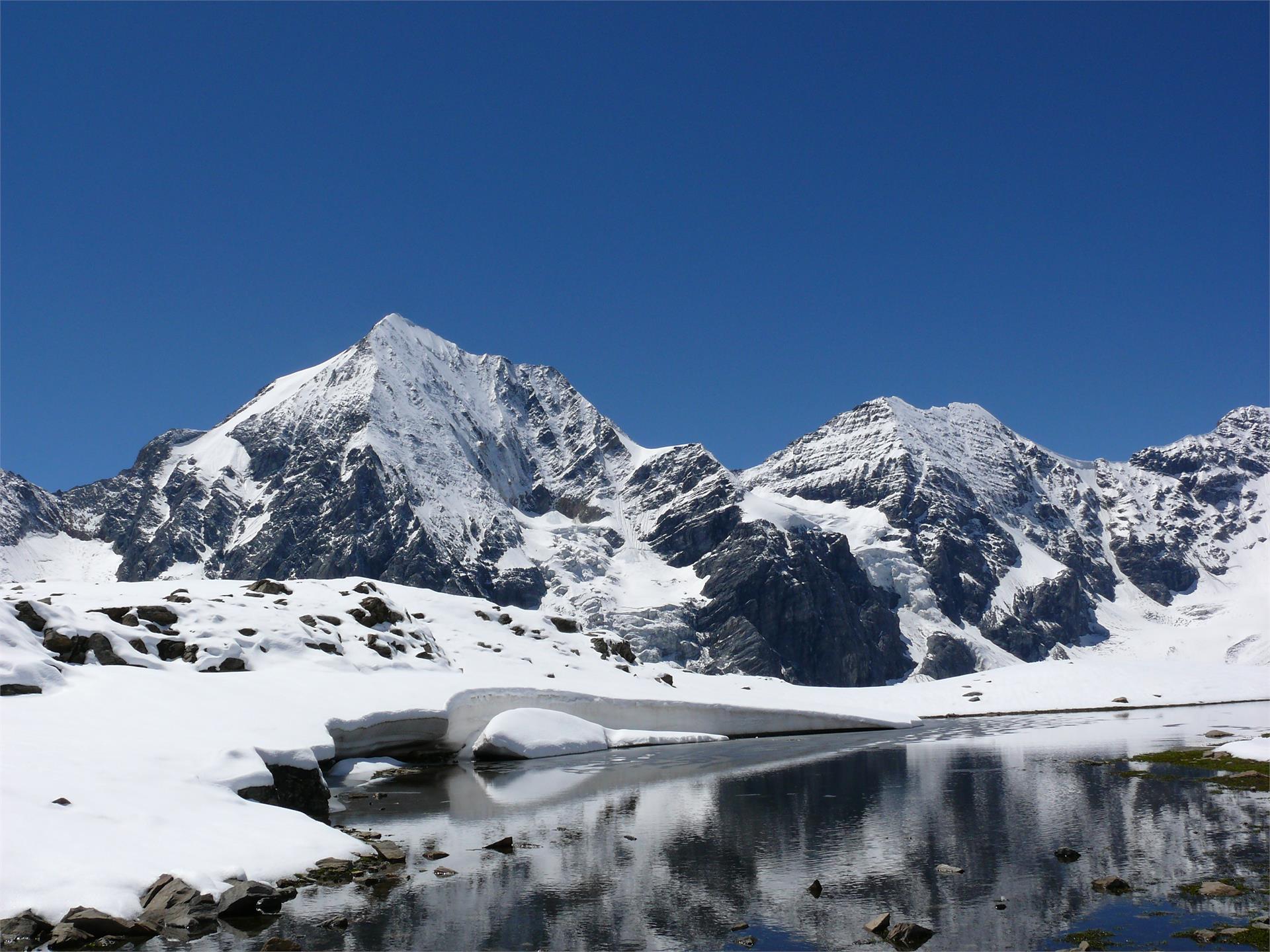 Pension Pernthaler Schlanders 9 suedtirol.info
