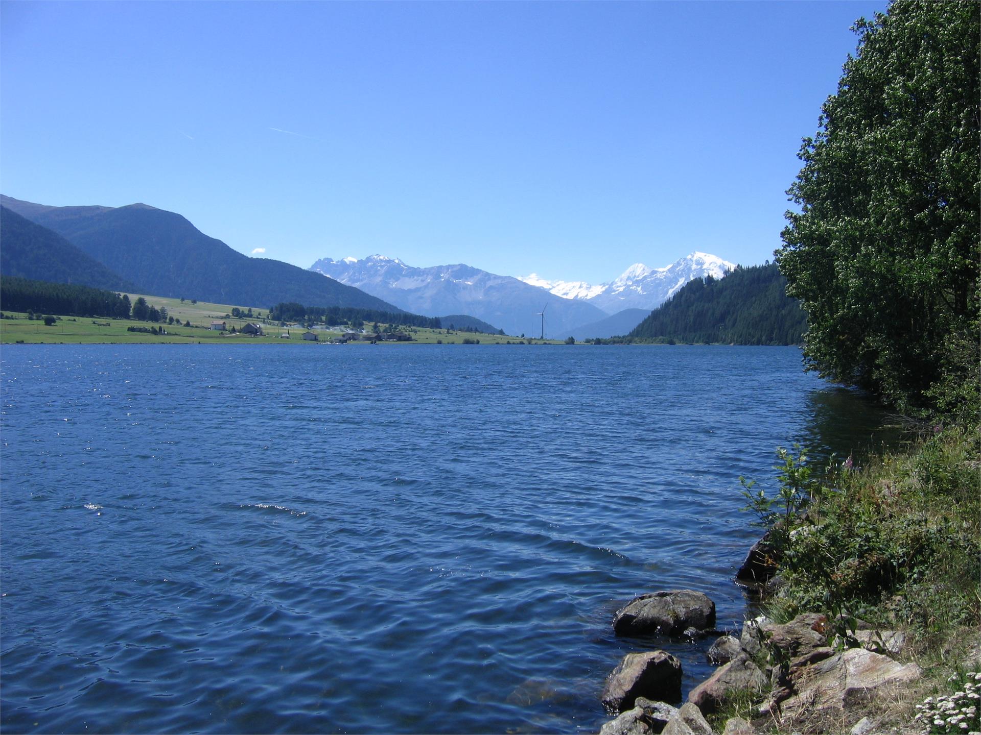 Pension Pernthaler Schlanders 11 suedtirol.info