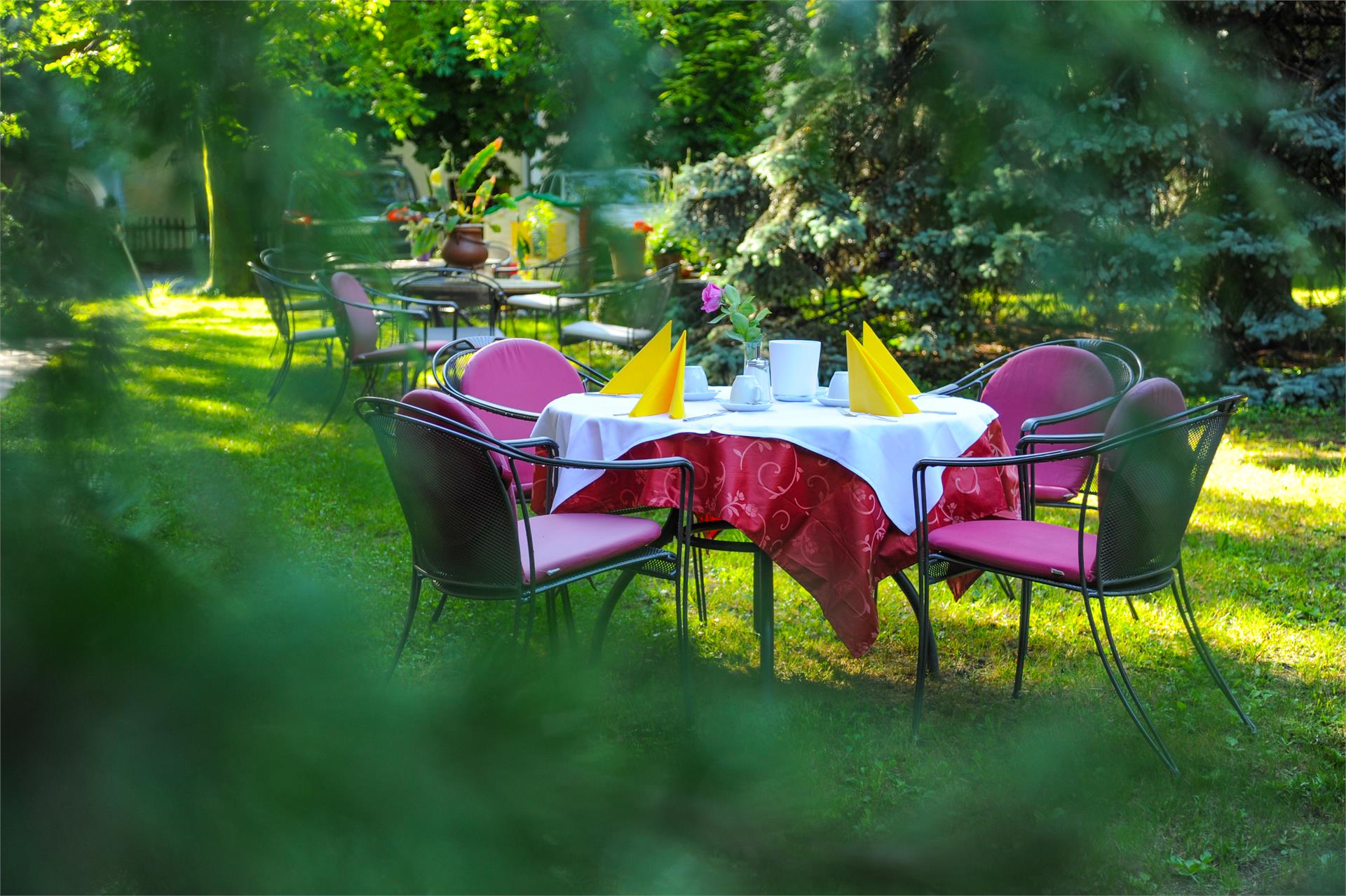 Pension Schweitzer Schlanders/Silandro 2 suedtirol.info