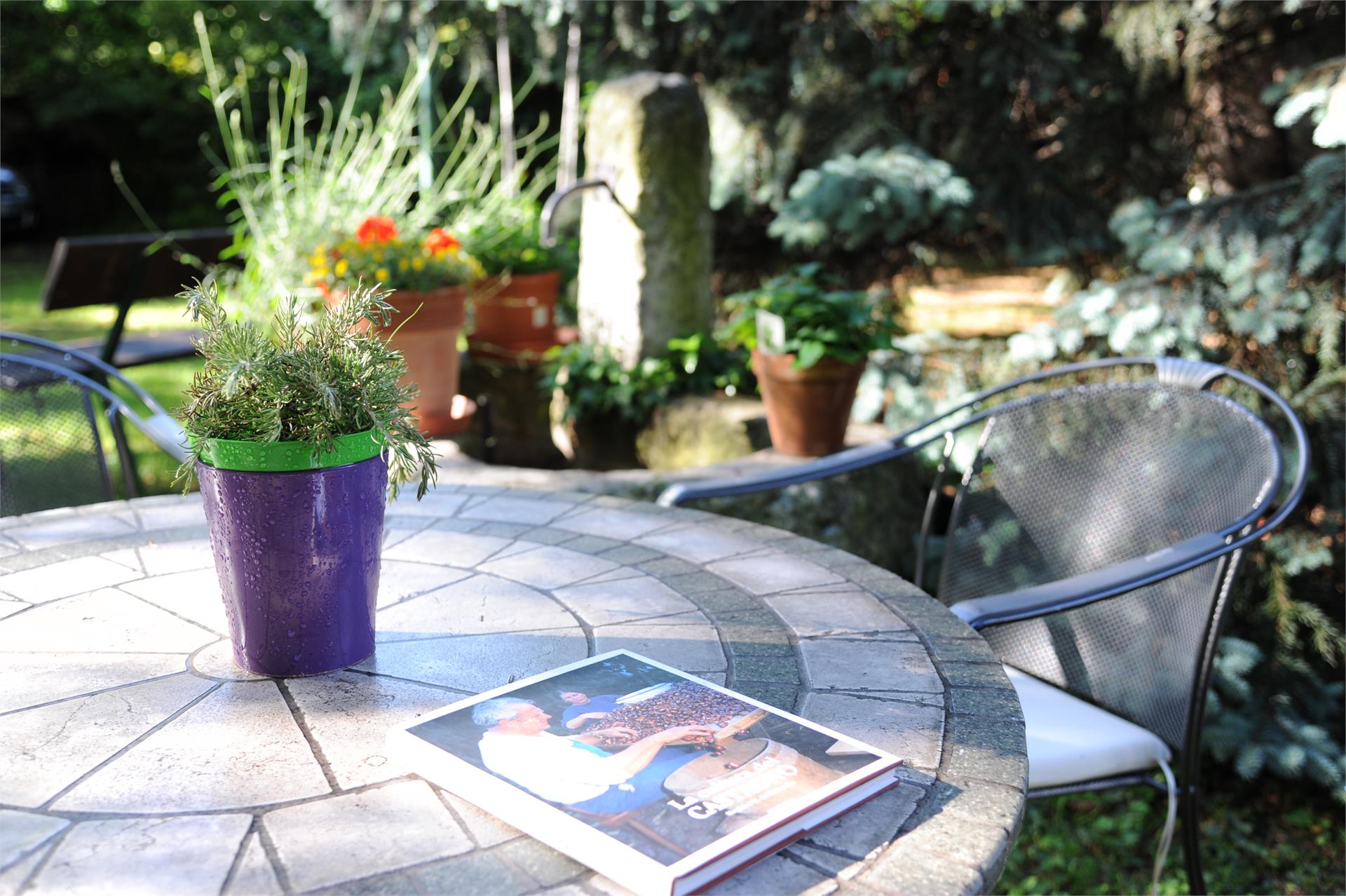 Pension Schweitzer Schlanders/Silandro 8 suedtirol.info