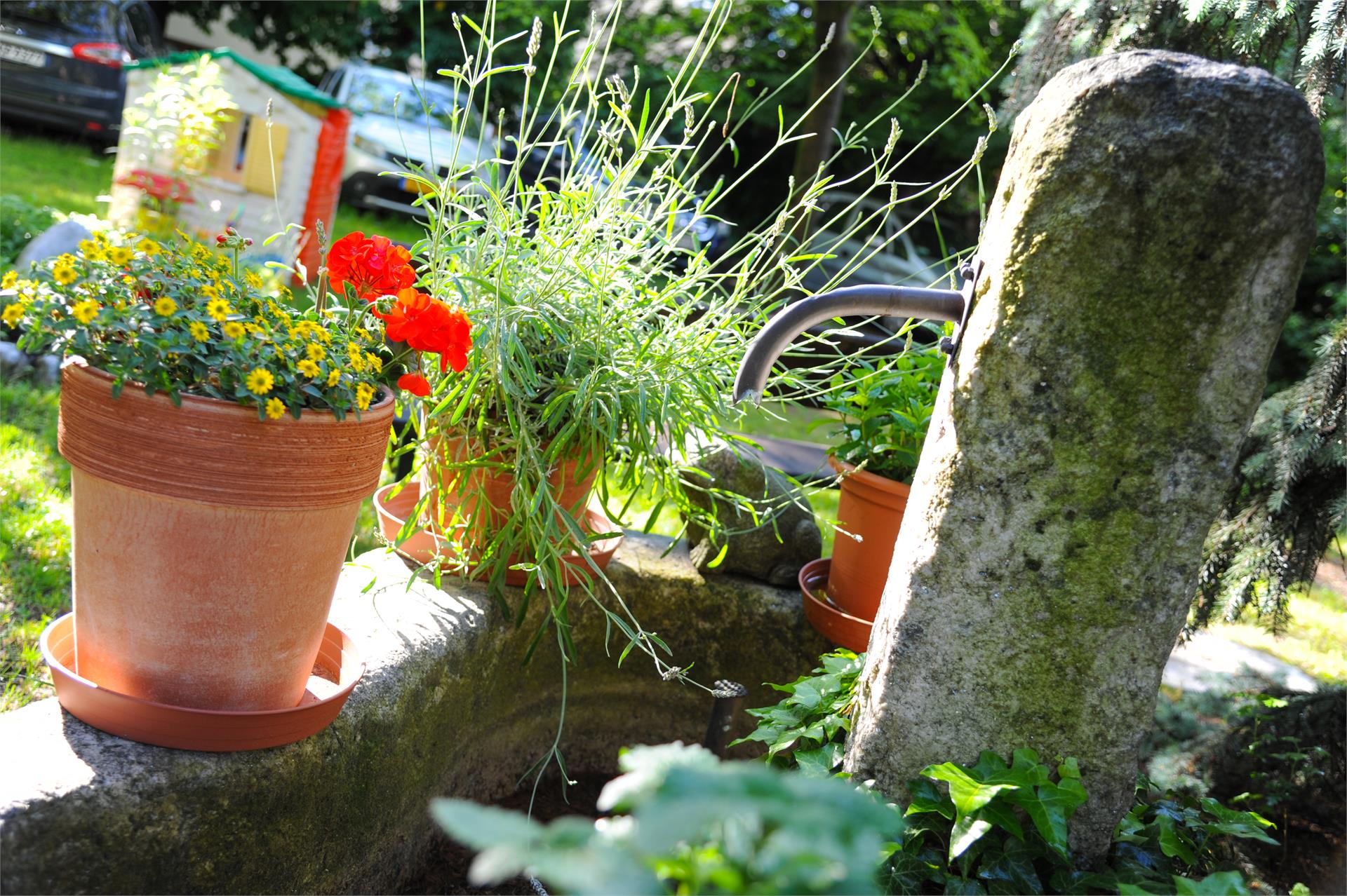 Pension Schweitzer Schlanders/Silandro 6 suedtirol.info