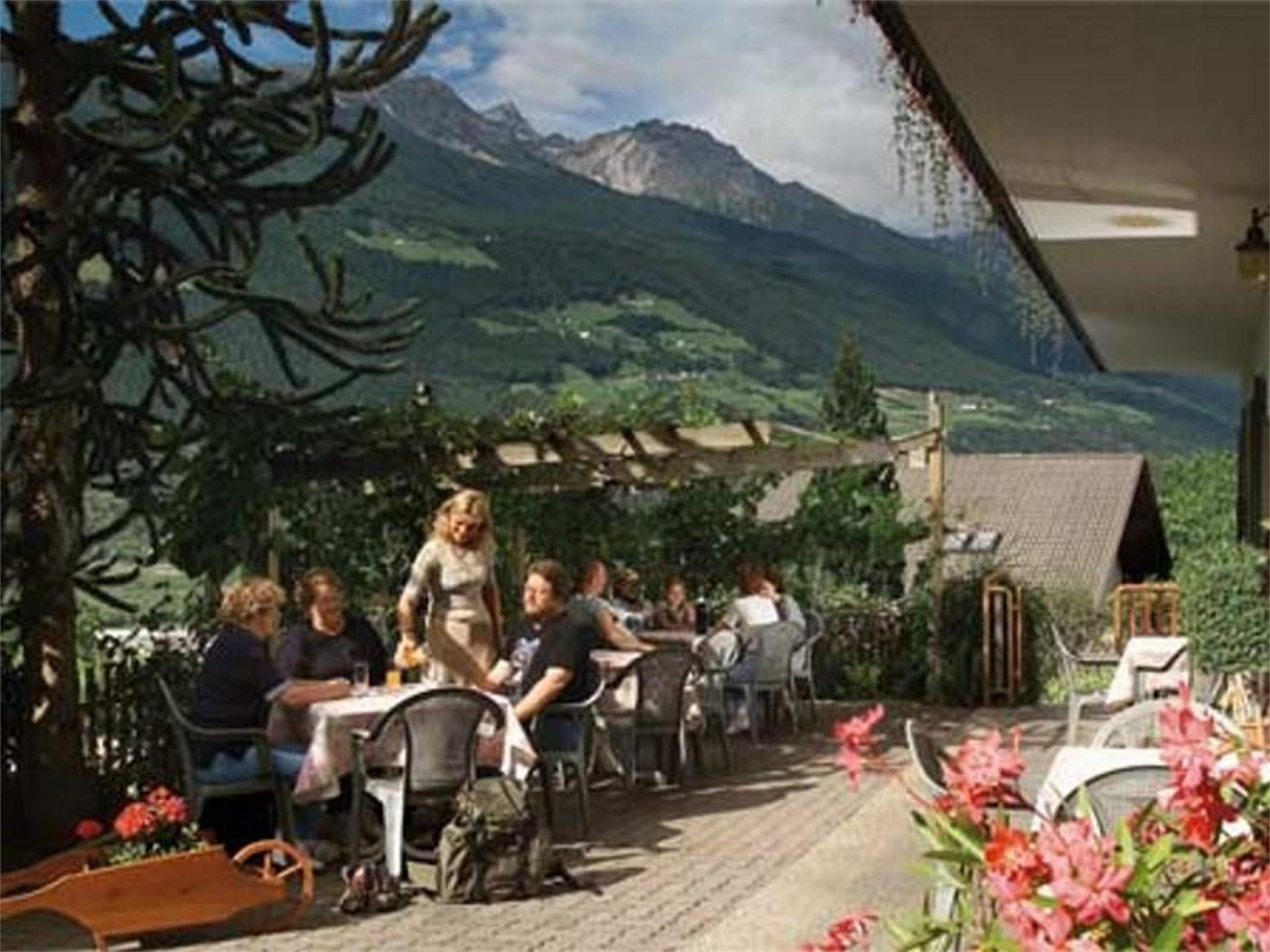 Pension Sonnenberg Schlanders 3 suedtirol.info