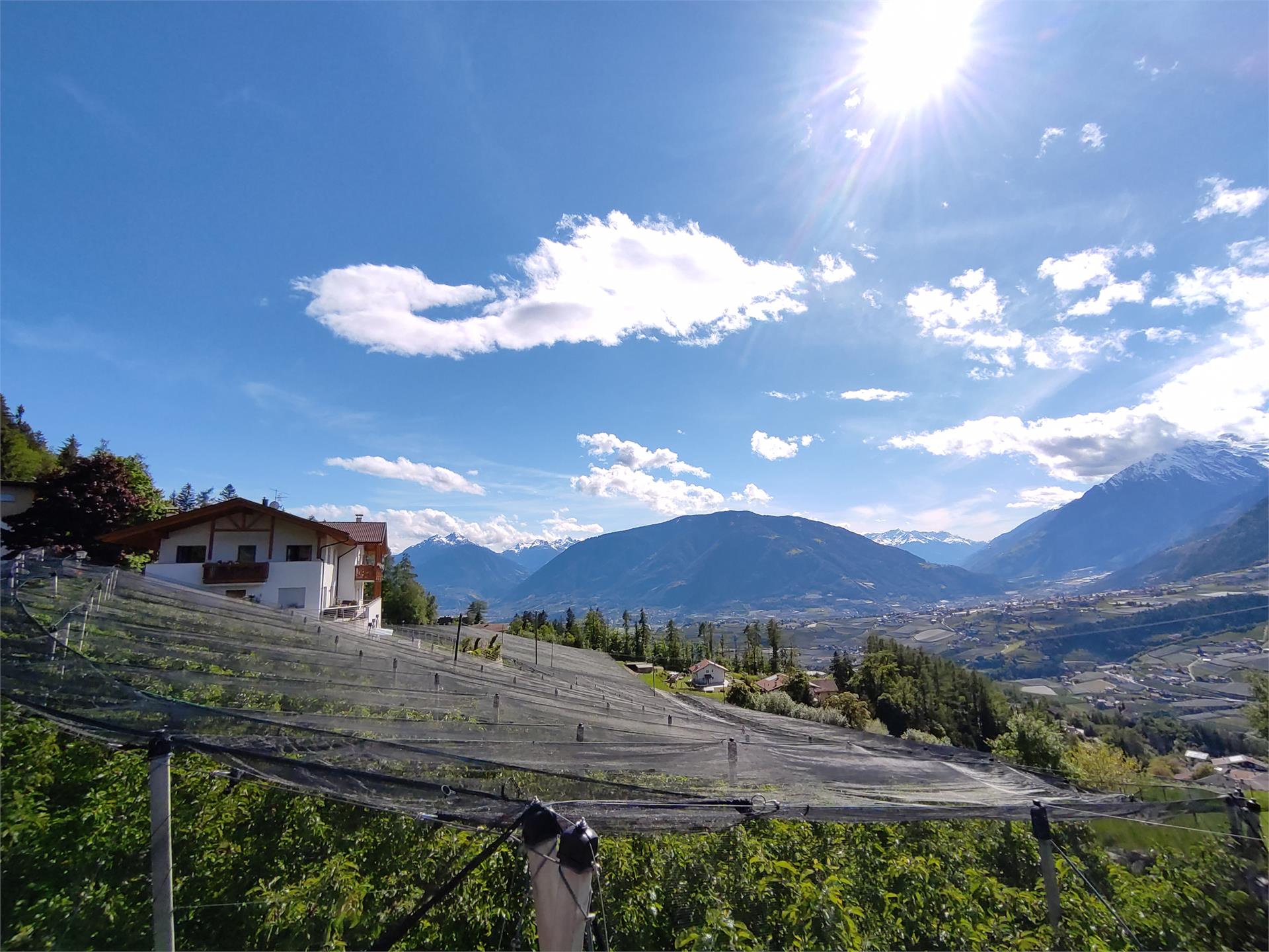 Prünsterhof Schenna/Scena 3 suedtirol.info
