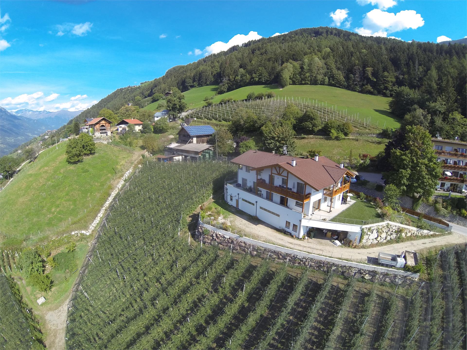 Prünsterhof Schenna/Scena 5 suedtirol.info