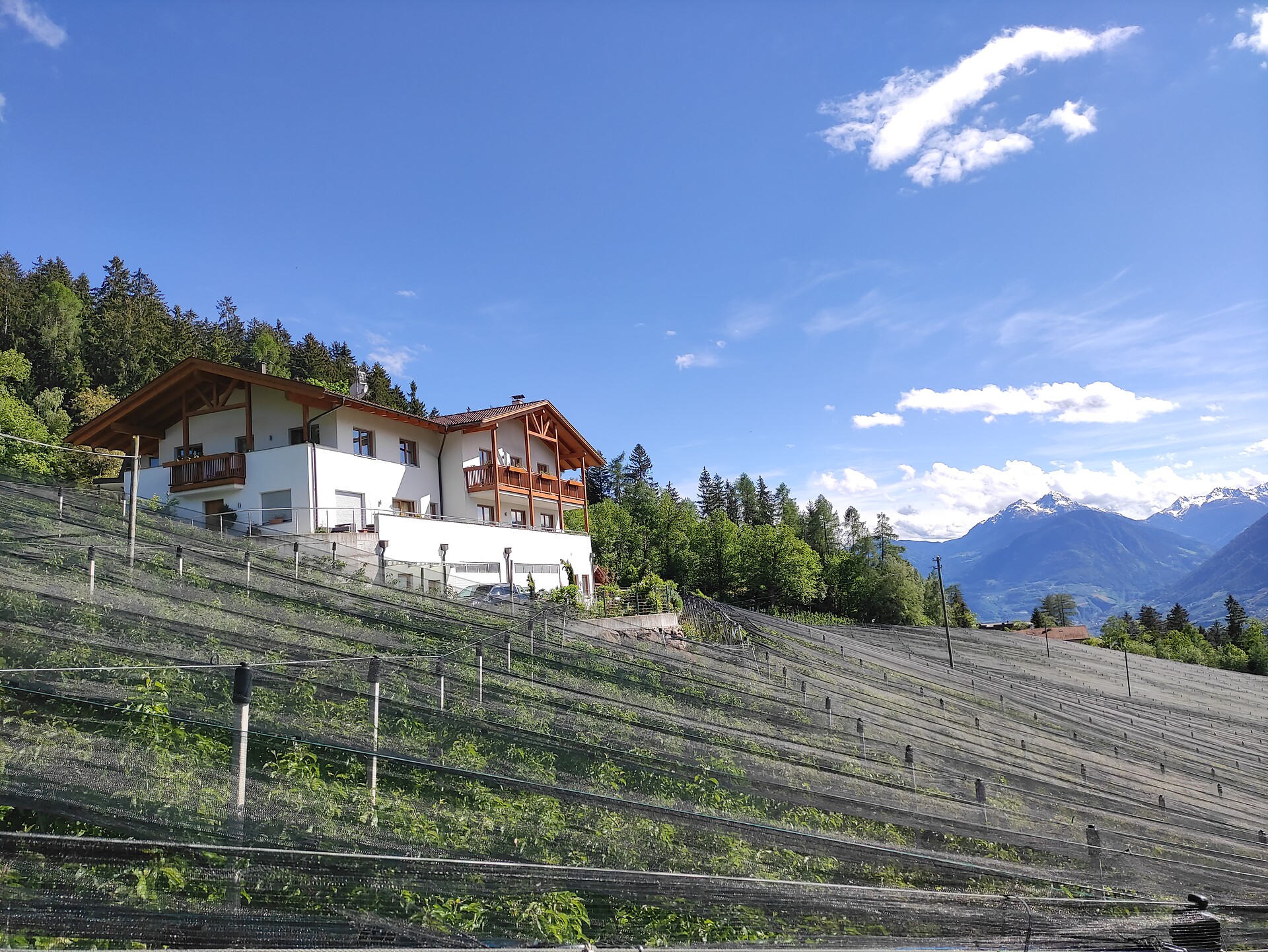 Prünsterhof Schenna near Merano in a unique panoramic position surrounded by greenery