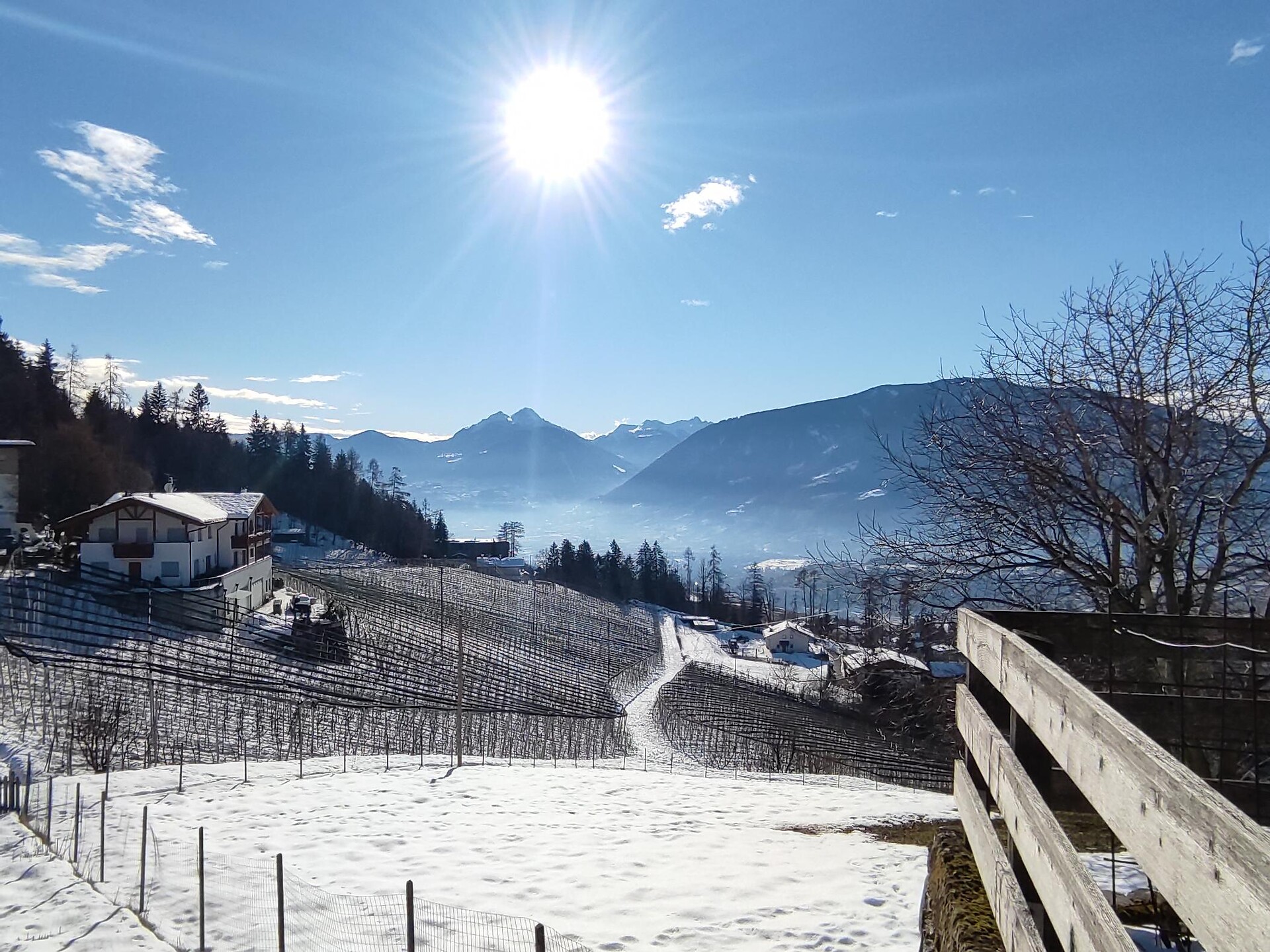 Prünsterhof Schenna near Merano with an amazing panoramic view