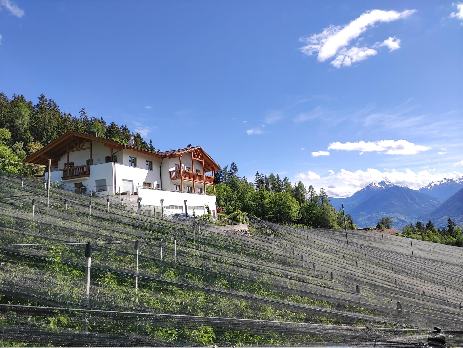 Prünsterhof Schenna/Scena 1 suedtirol.info