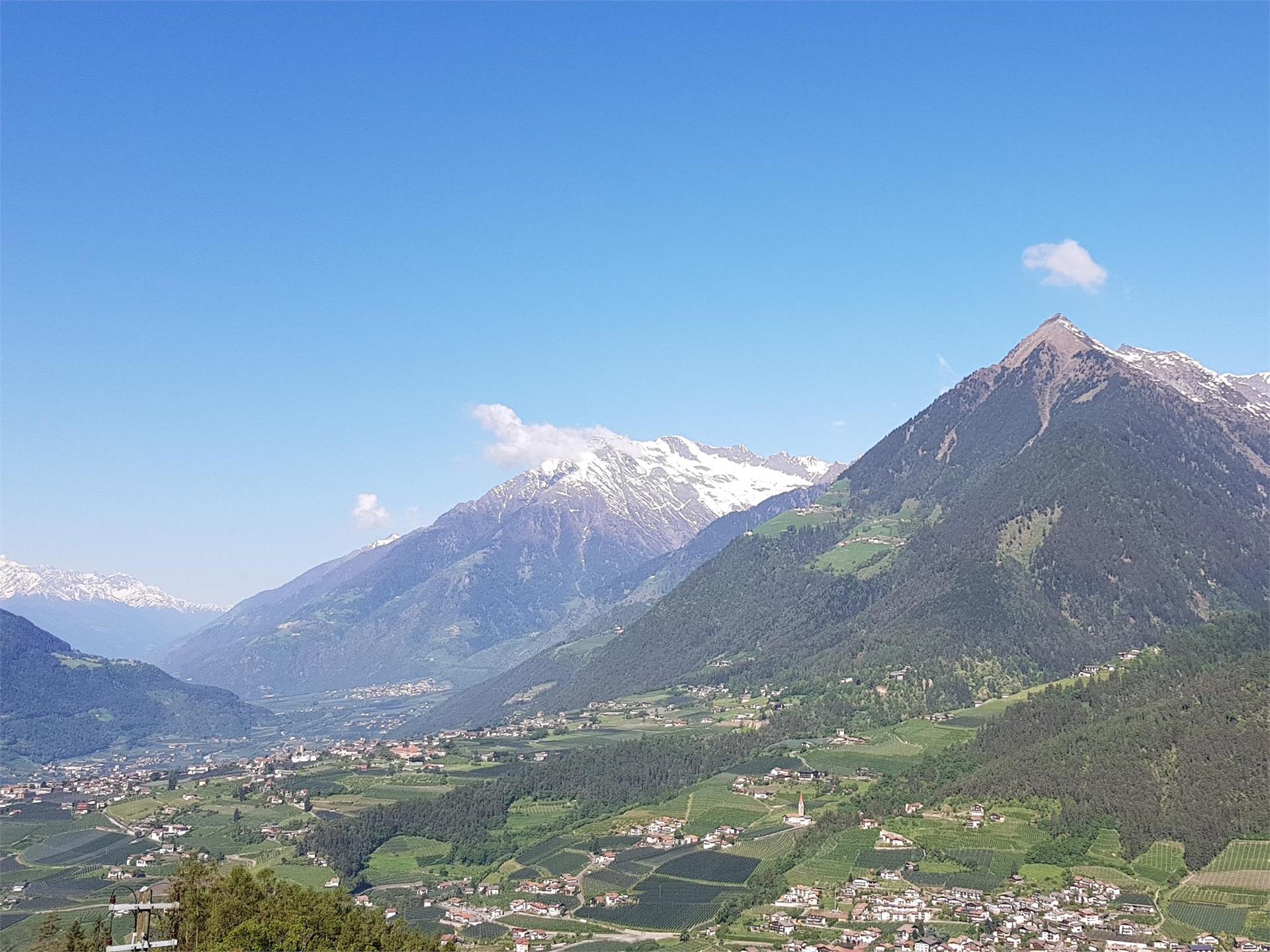 Prünsterhof Schenna/Scena 2 suedtirol.info