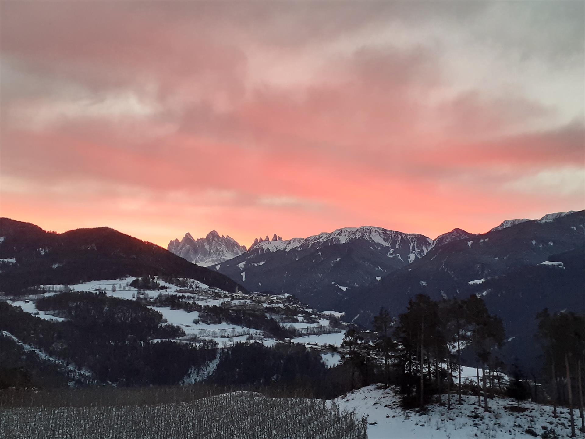 Pension Huberhof Feldthurns 21 suedtirol.info