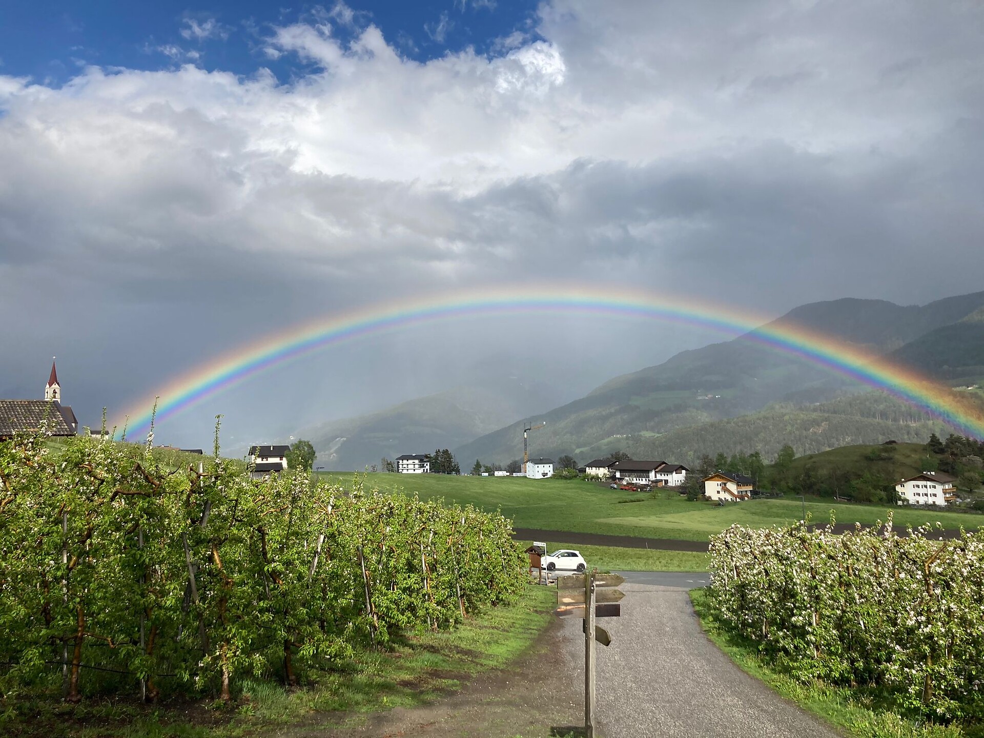 Regenbogen