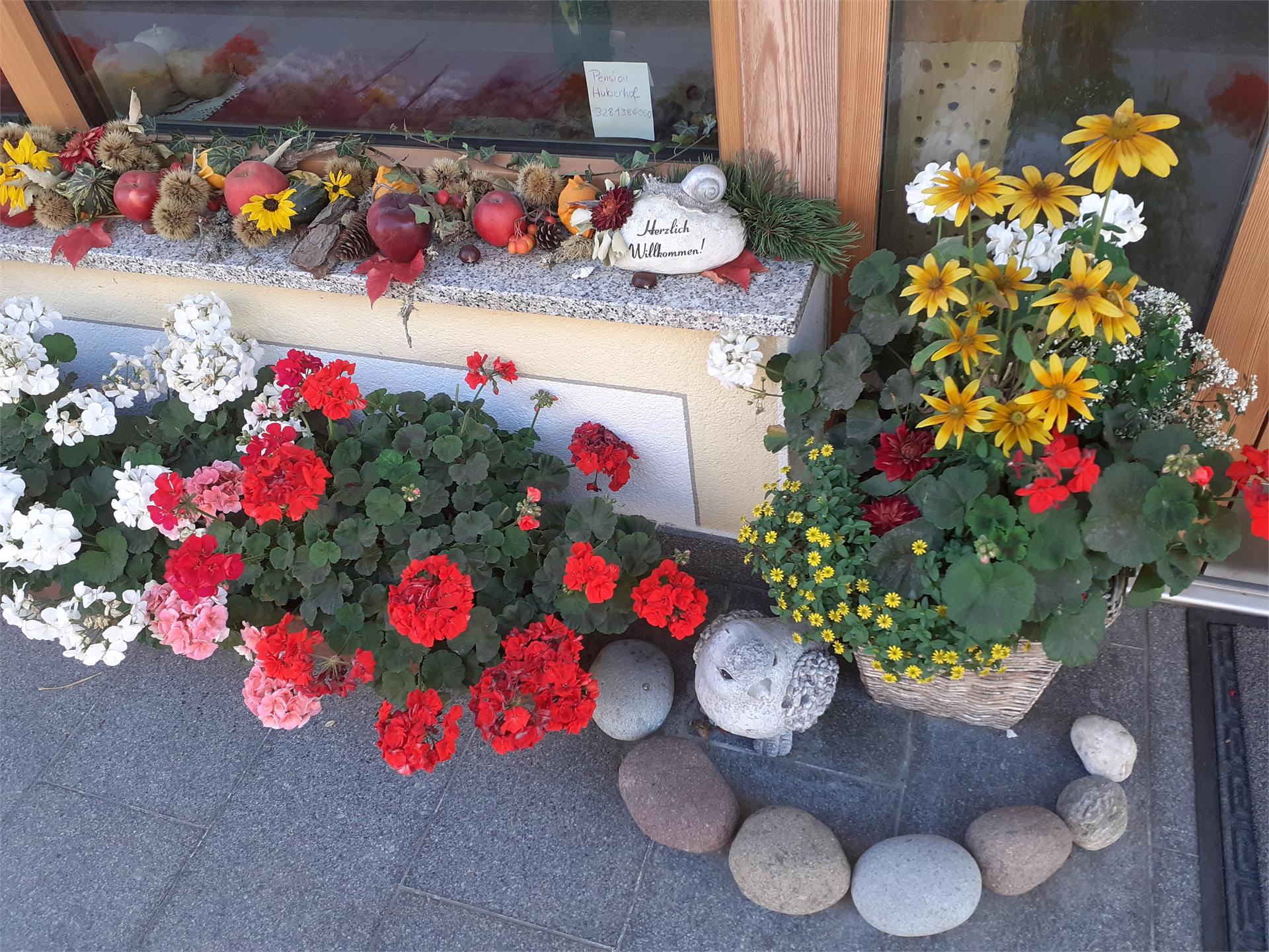 Pension Huberhof Feldthurns 18 suedtirol.info
