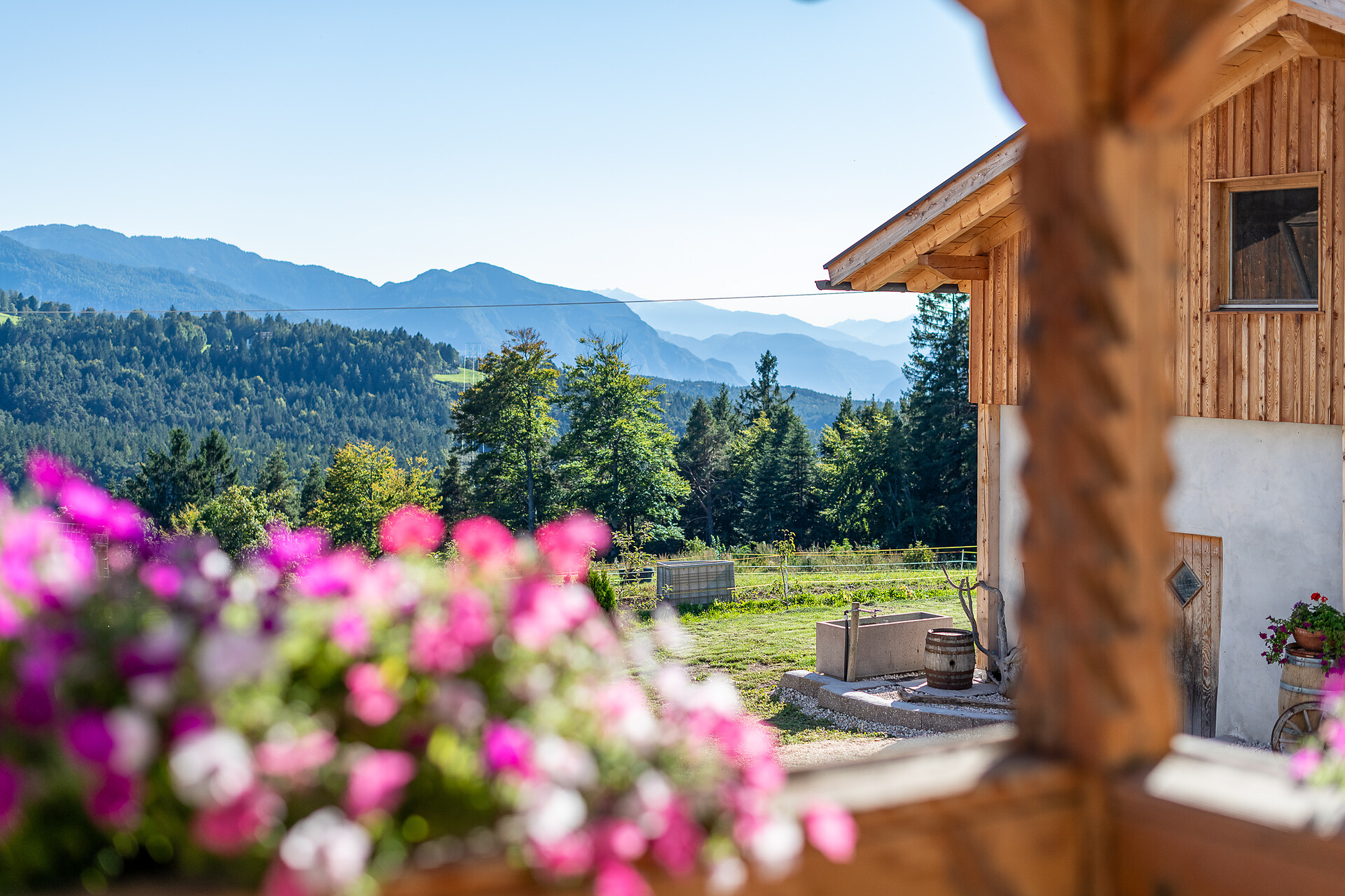 Plattnerhof Deutschnofen 10 suedtirol.info