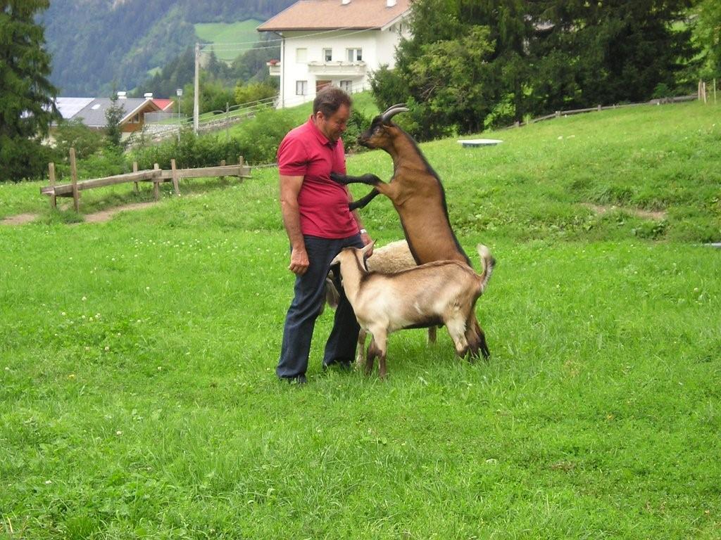 Pension Brunhild St.Leonhard in Passeier/San Leonardo in Passiria 17 suedtirol.info