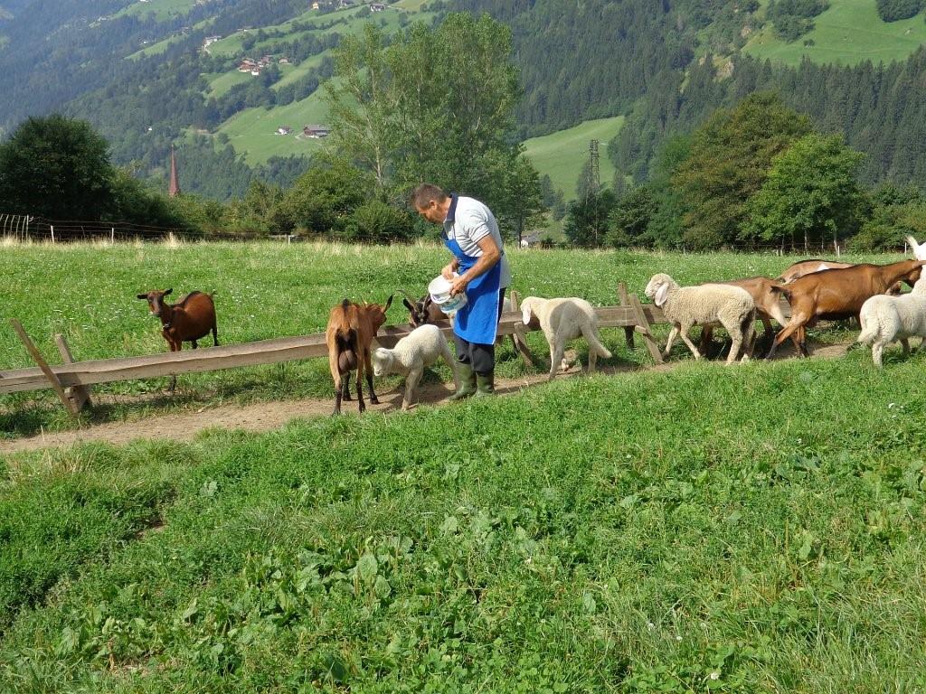 Pension Brunhild St.Leonhard in Passeier/San Leonardo in Passiria 18 suedtirol.info