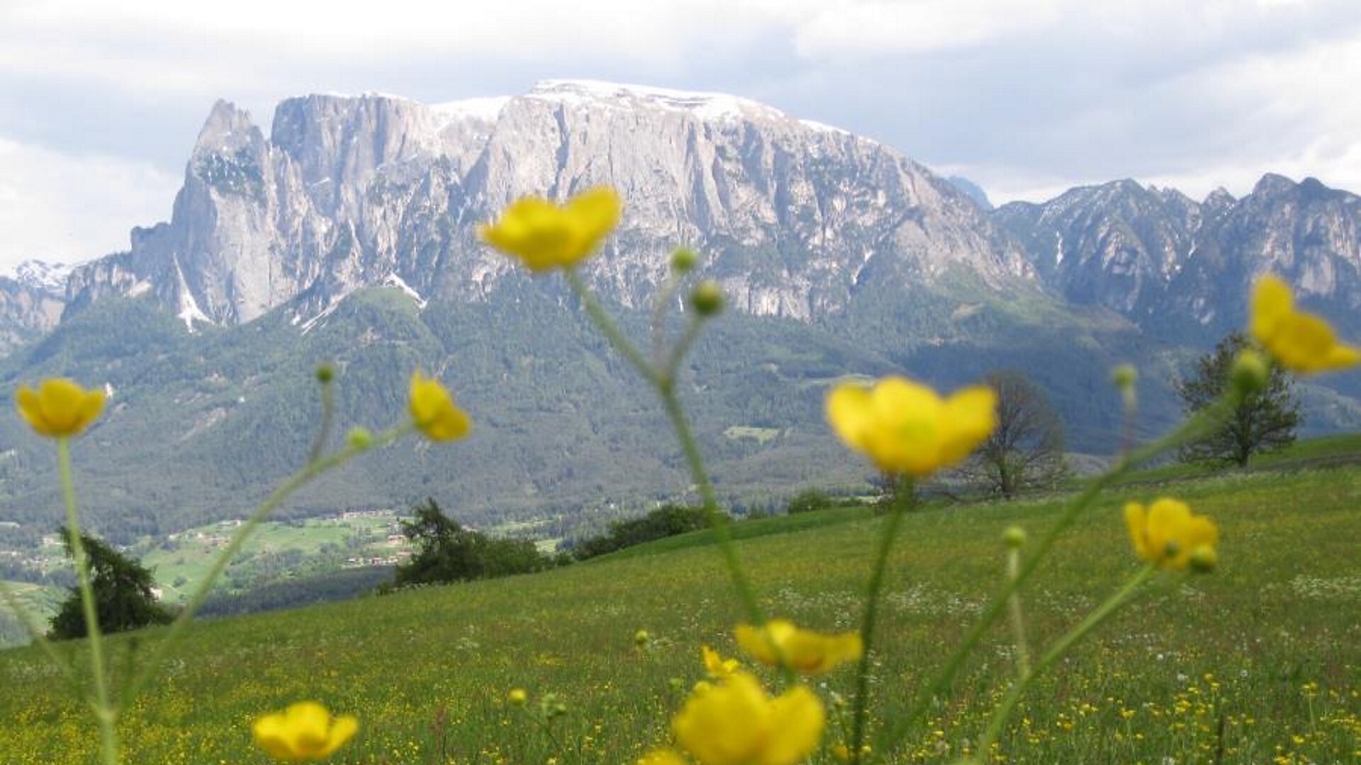 Profunserhof - Bozen und Umgebung - #1 - suedtirol.info