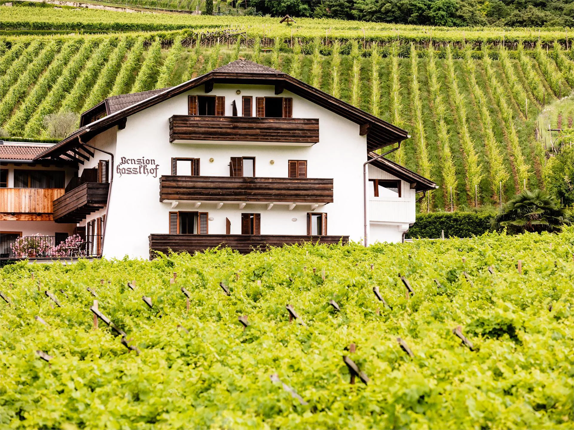 Pensione Hasslhof Caldaro sulla Strada del Vino 1 suedtirol.info