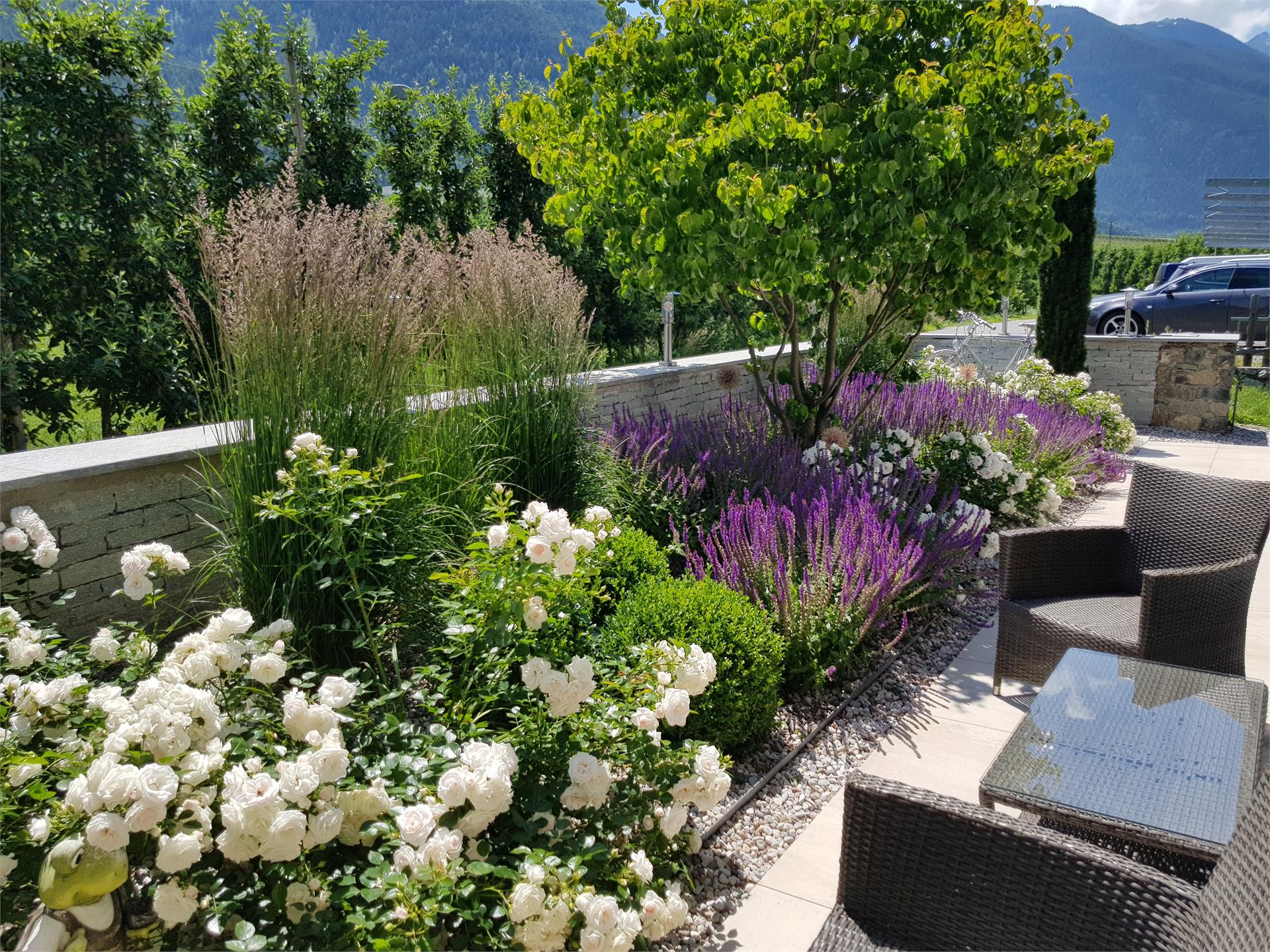Pension Tannenhof Latsch/Laces 12 suedtirol.info