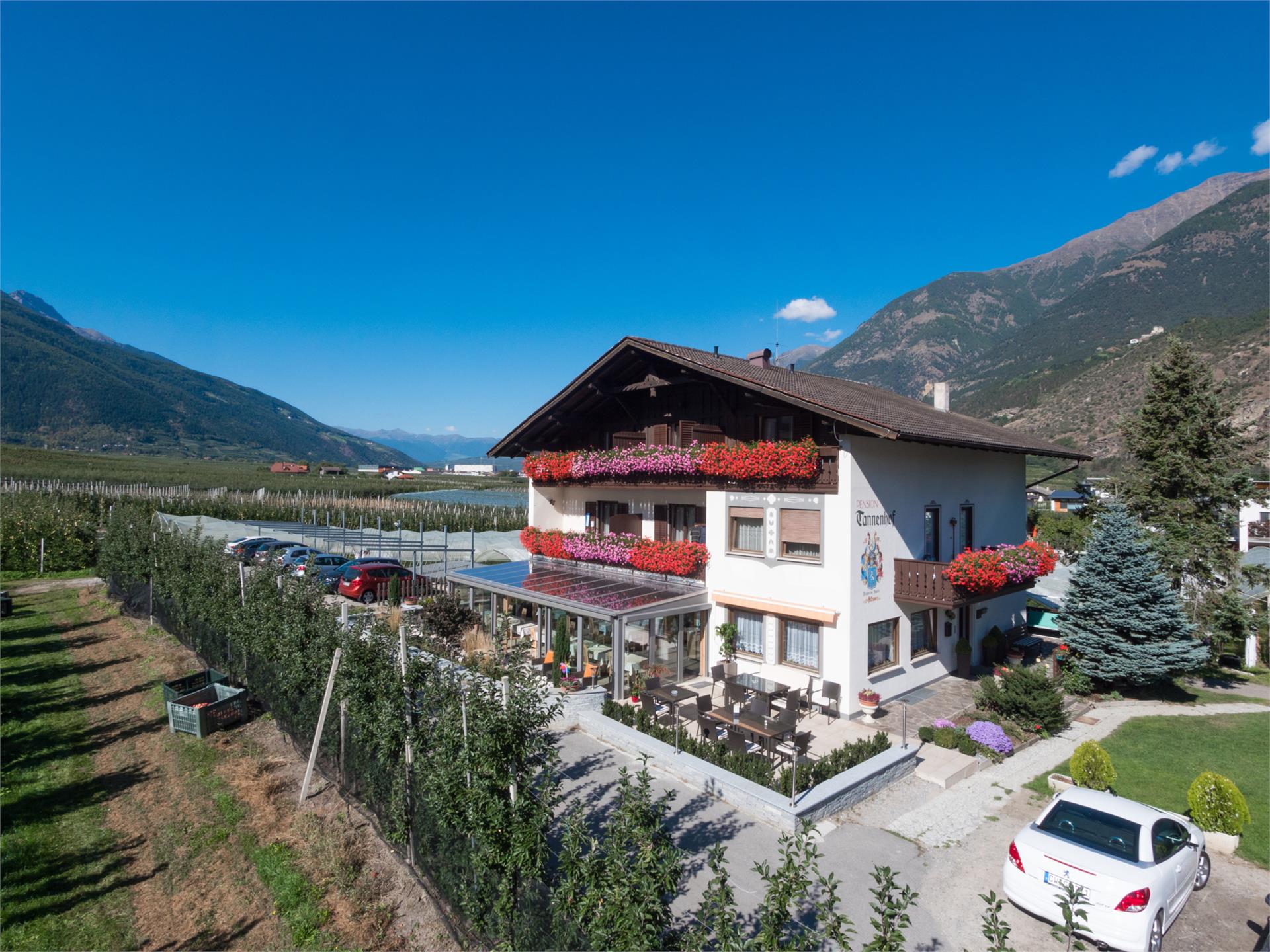 Pension Tannenhof Latsch/Laces 1 suedtirol.info