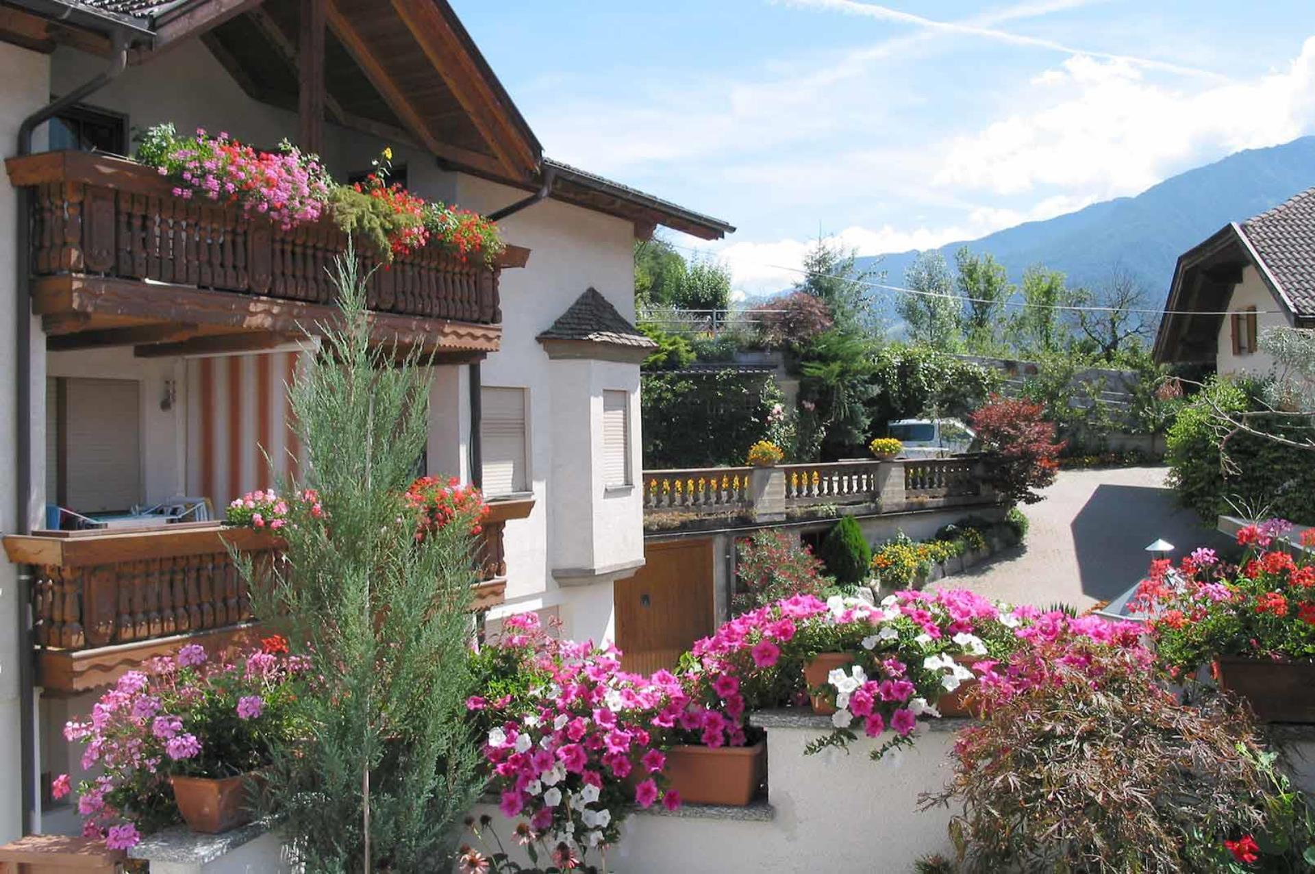 Pensione Residence Obkircher Laces 8 suedtirol.info