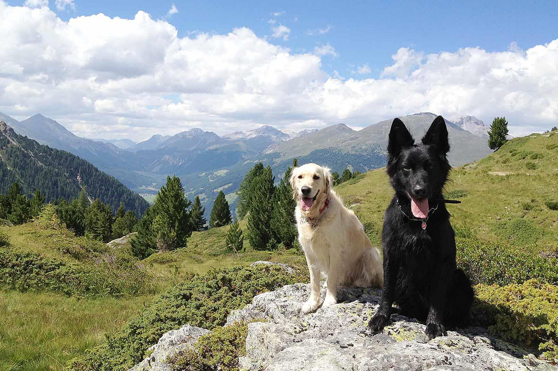 Urlaub mit Hund Pension & Residence Obkircher