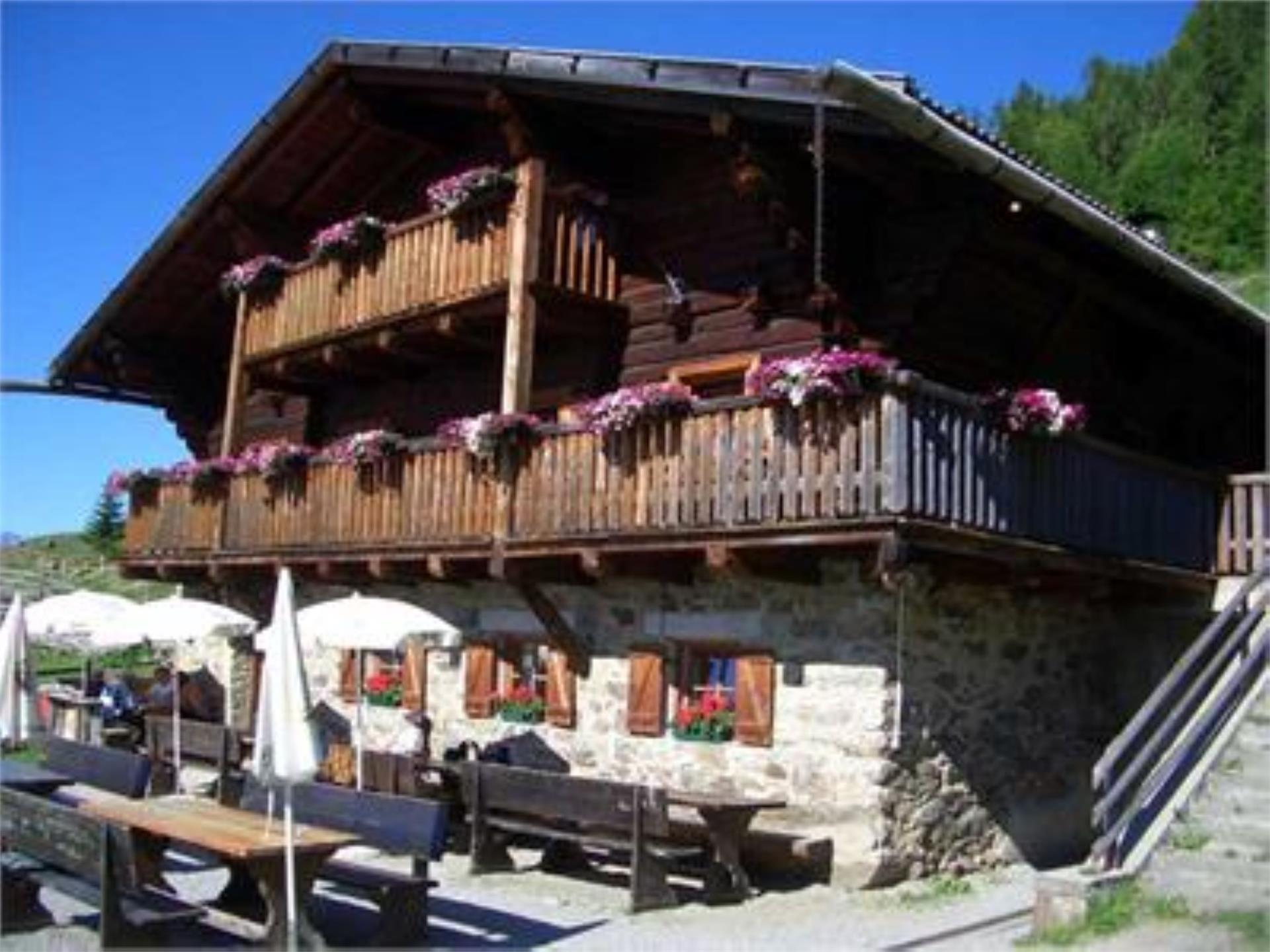 Pension Sachsalber Latsch 3 suedtirol.info