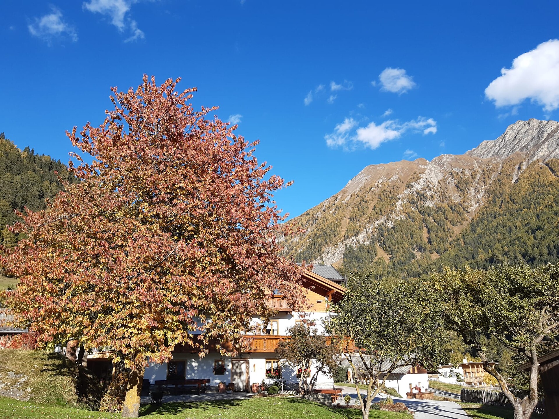 Garten