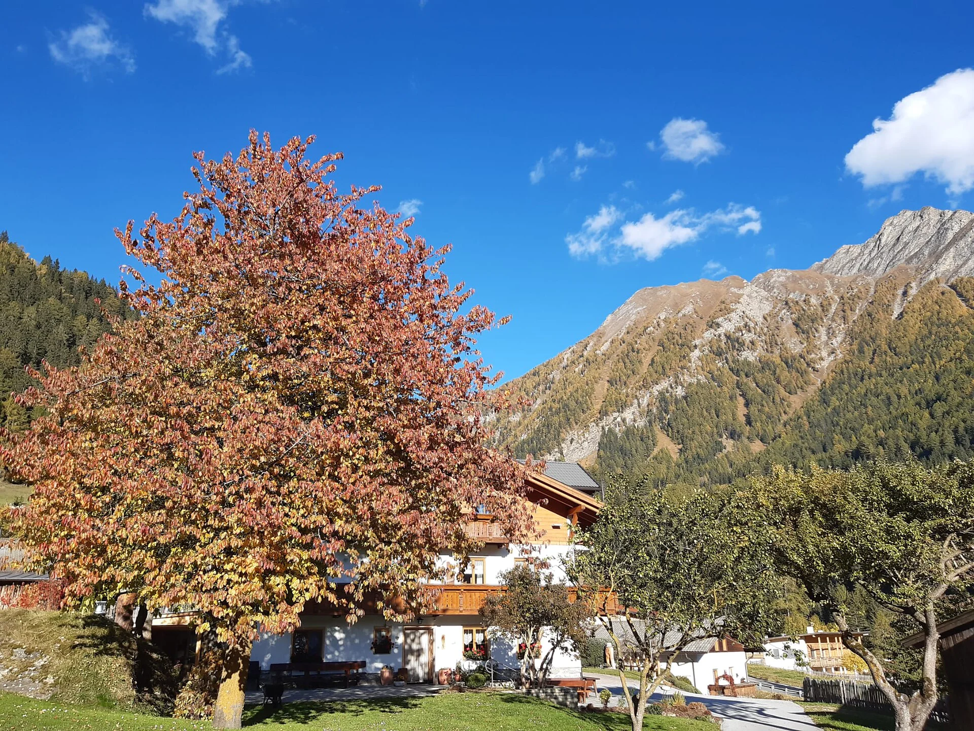 Pensione Graushof Val di Vizze 4 suedtirol.info