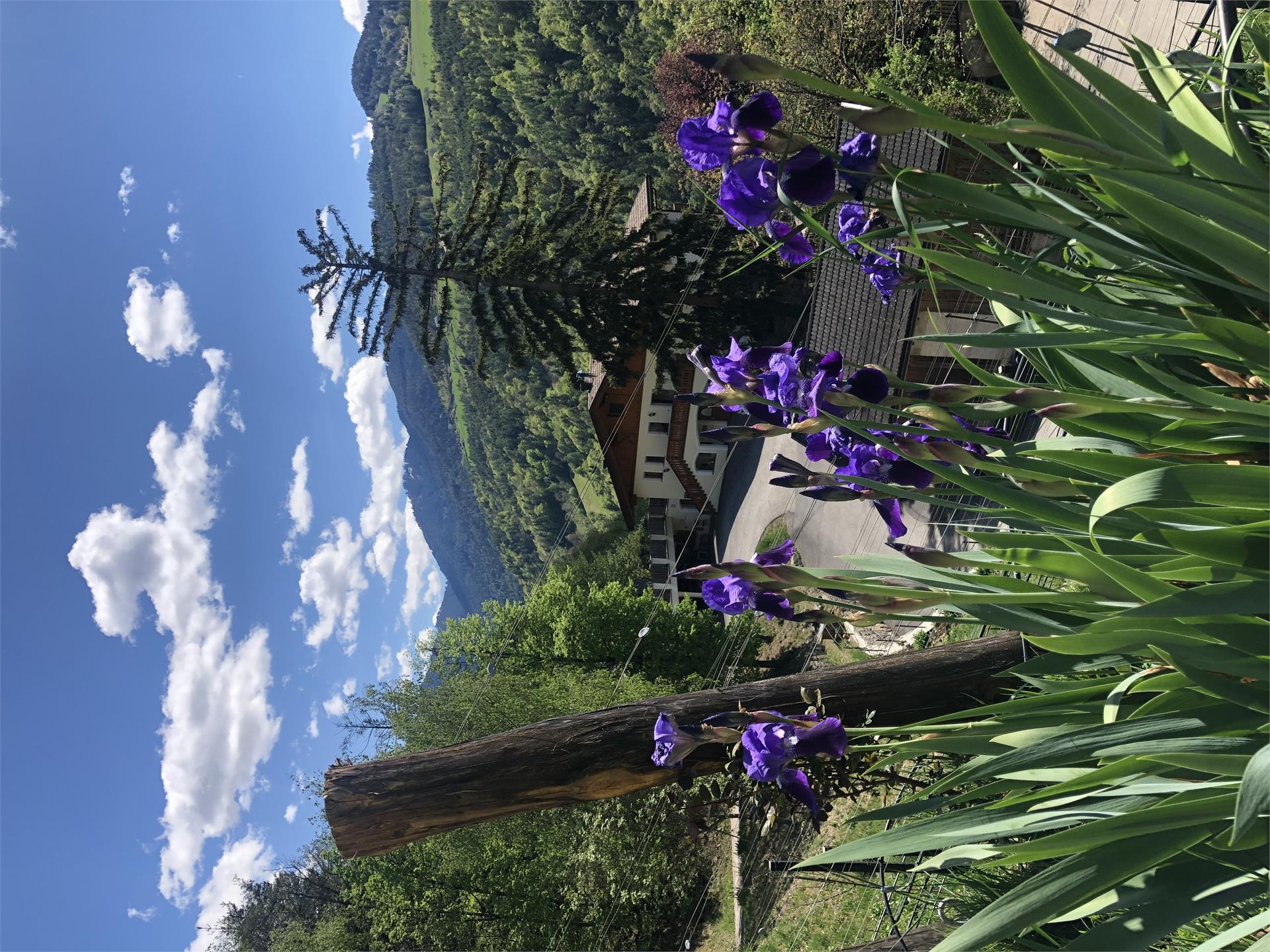 Prackfolerhof Völs am Schlern 12 suedtirol.info