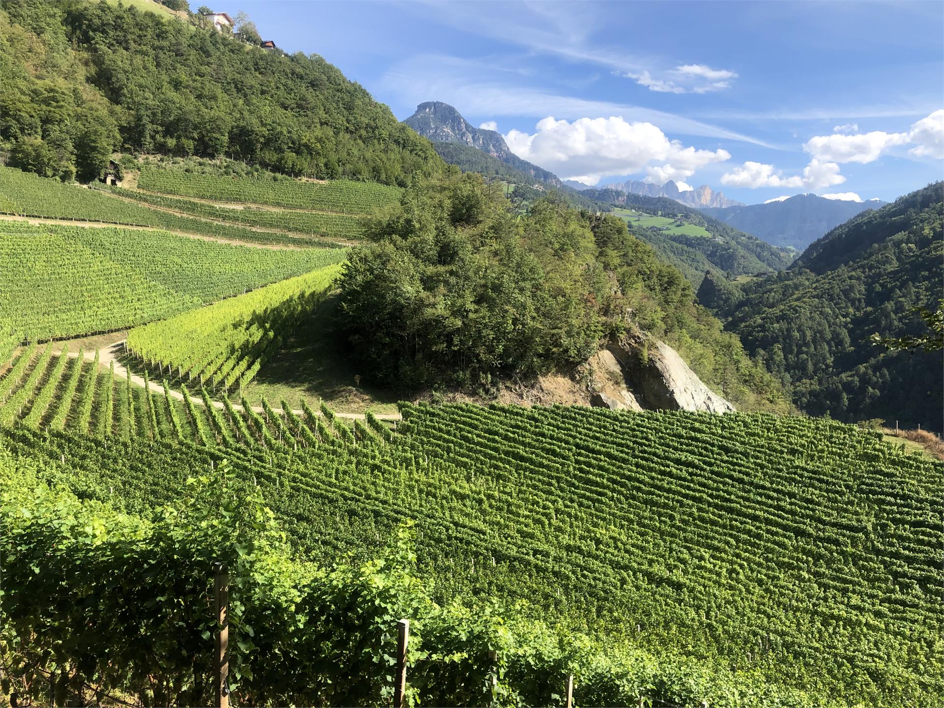 Prackfolerhof Völs am Schlern 16 suedtirol.info