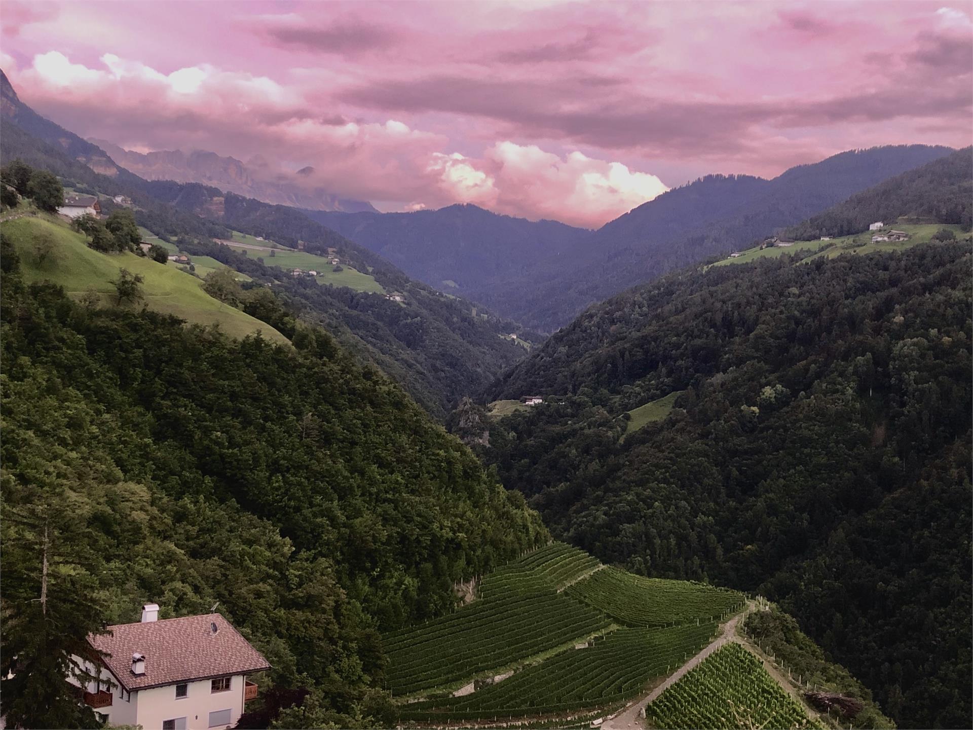 Prackfolerhof Völs am Schlern 19 suedtirol.info