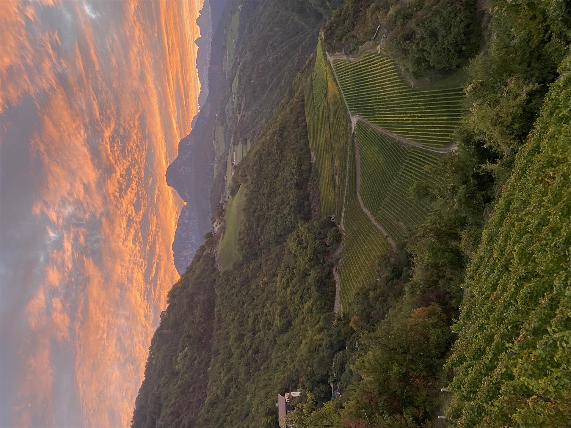 Prackfolerhof Völs am Schlern 11 suedtirol.info