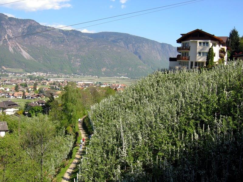 Panorama Garni-Hotel Bühlerhof Lana 2 suedtirol.info