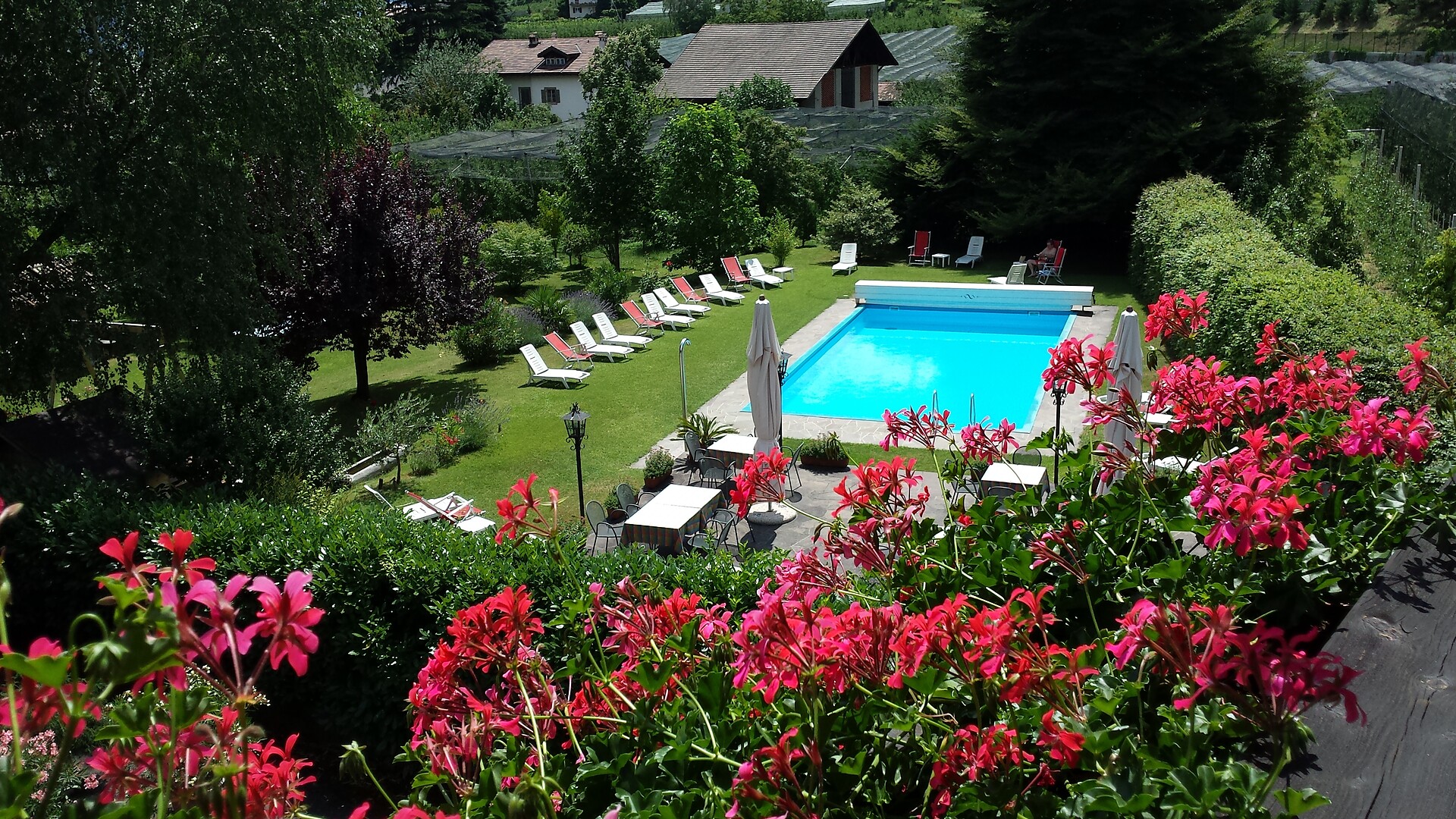 view on the pool