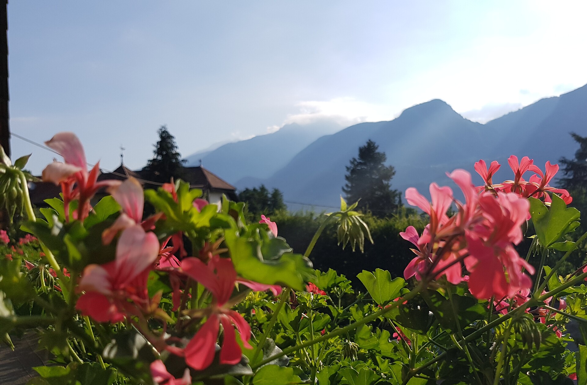 View