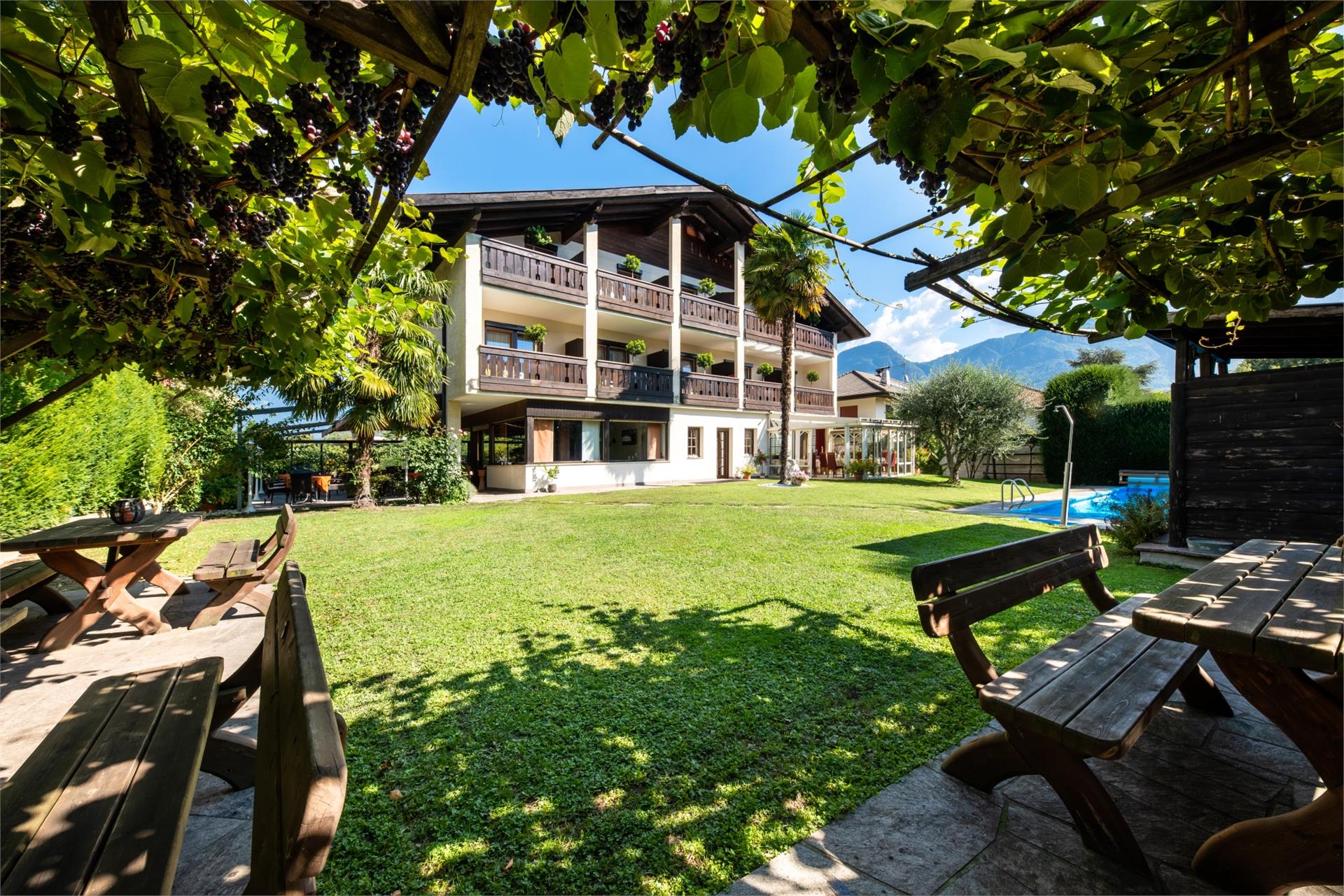 Pensione Residence Weingarten Lana 3 suedtirol.info