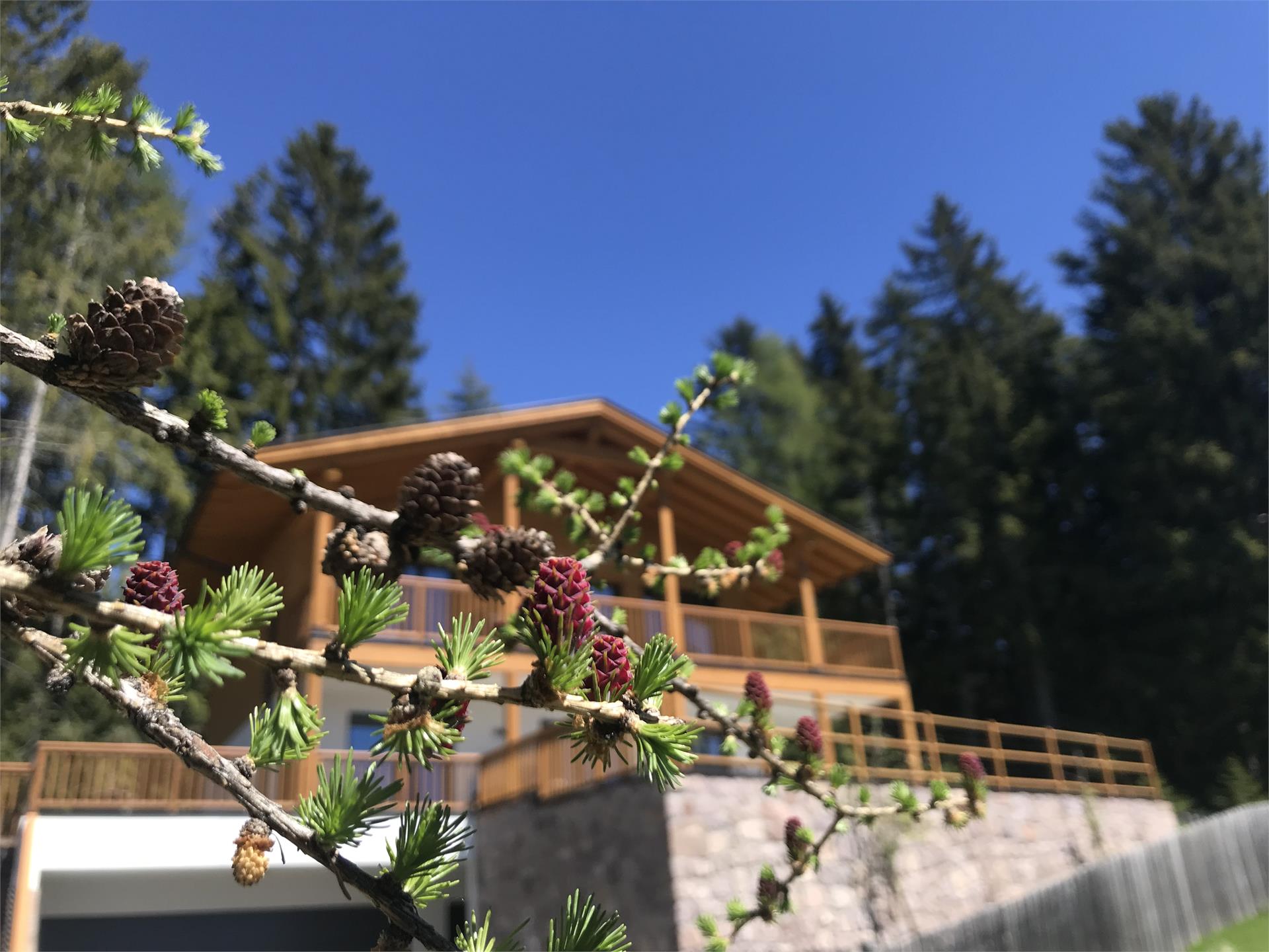 Piz Aich Natur Chalet Avelengo 2 suedtirol.info