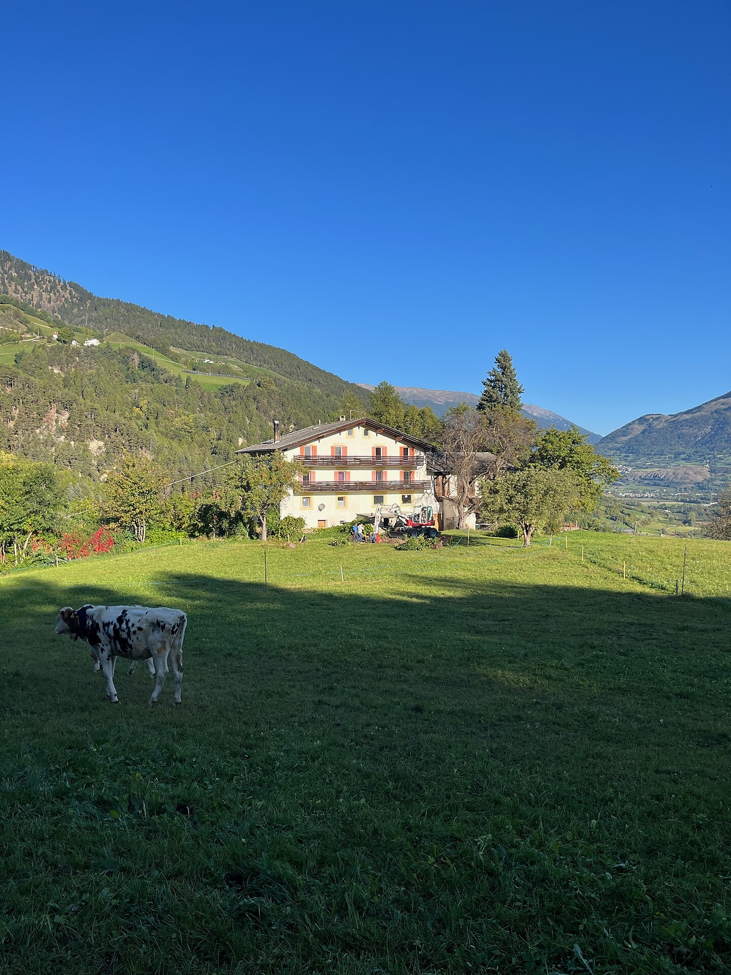 Plasur Prad am Stilfser Joch 4 suedtirol.info
