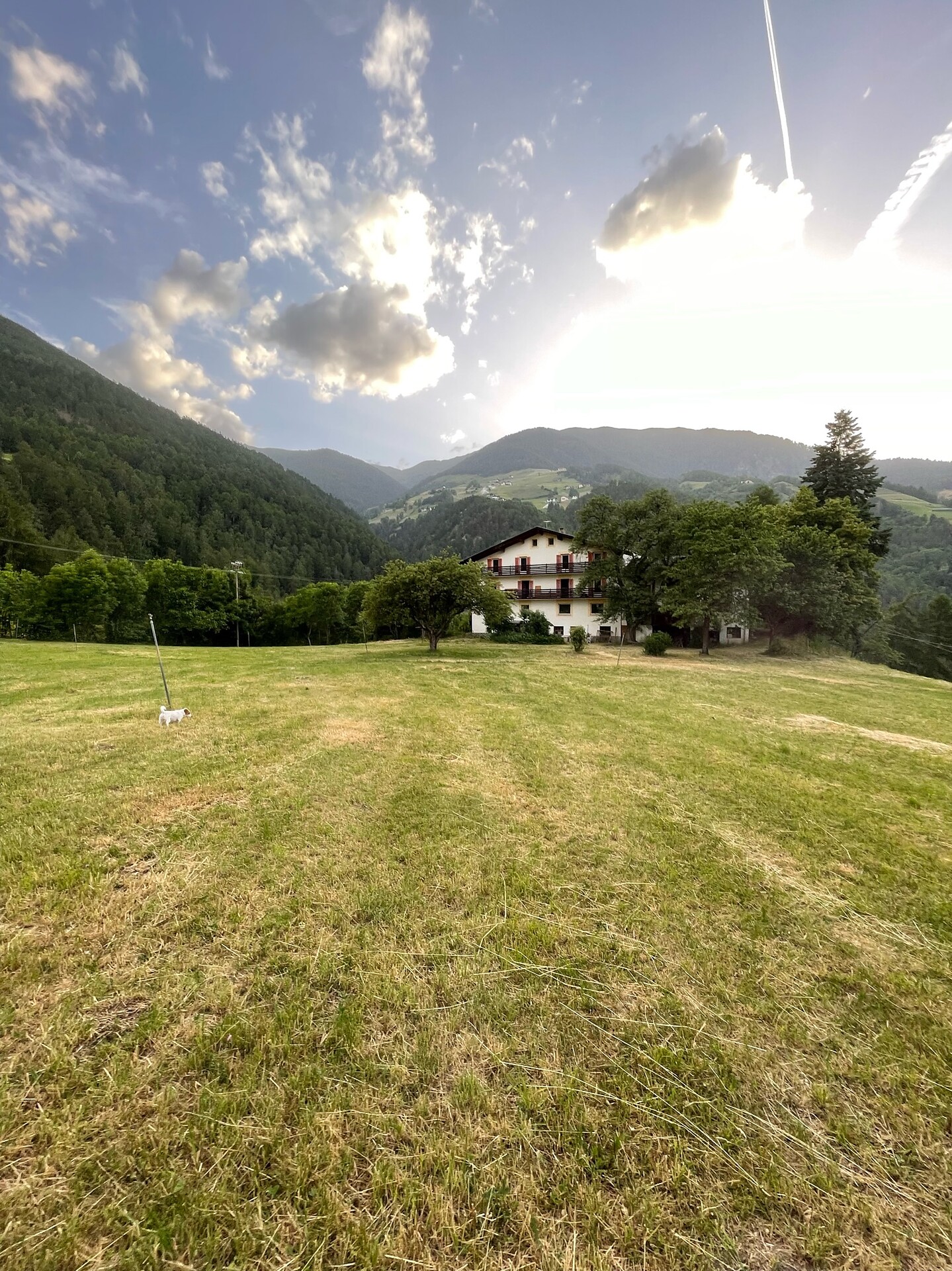 Plasur Prad am Stilfser Joch 8 suedtirol.info