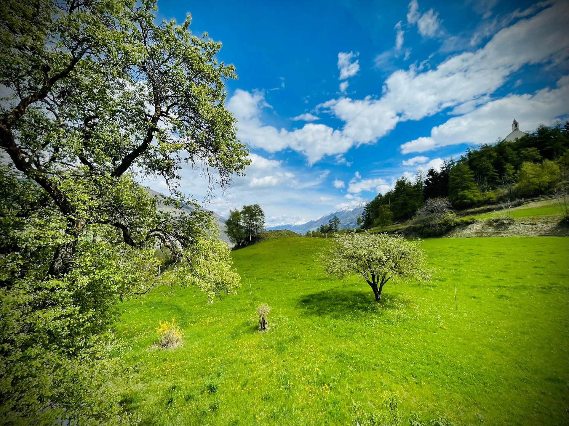 Plasur Prad am Stilfser Joch 5 suedtirol.info