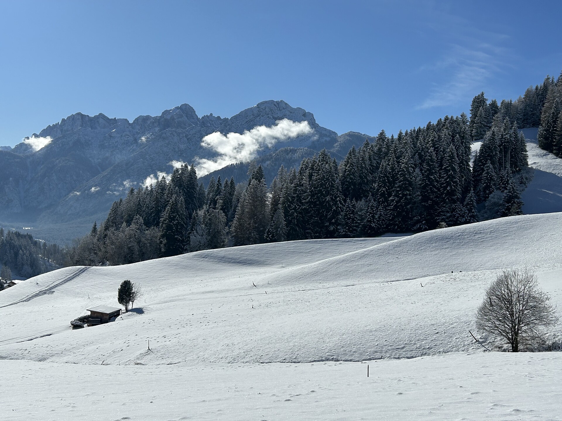 Panorama Suite Toblach - Regione dolomitica 3 Cime - #17 - suedtirol.info