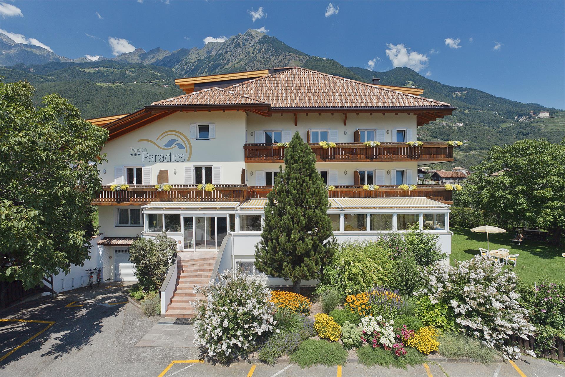 Pension Paradies Algund 2 suedtirol.info