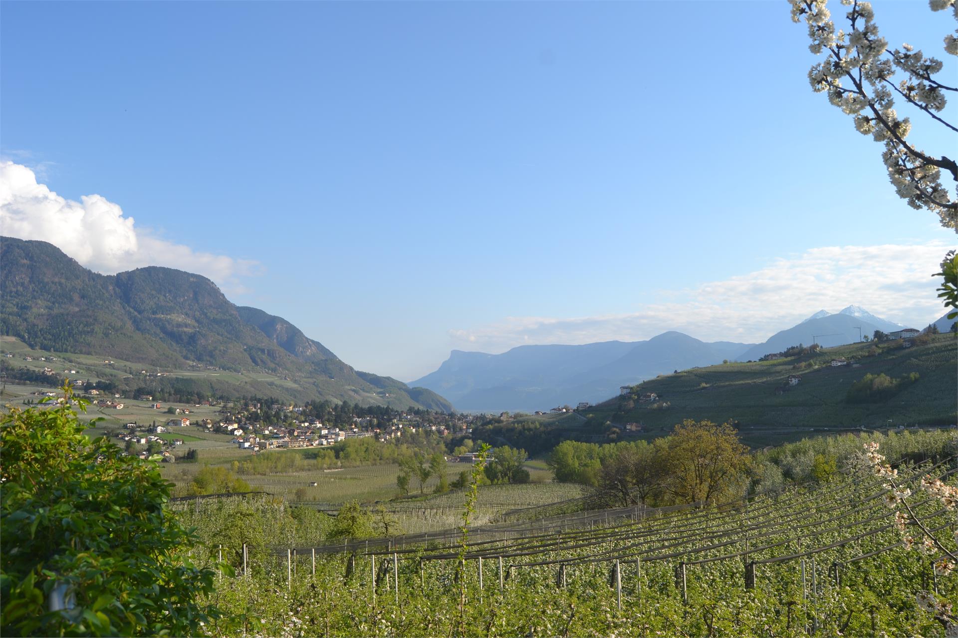 Pensione Schweigkofler Tirolo 22 suedtirol.info