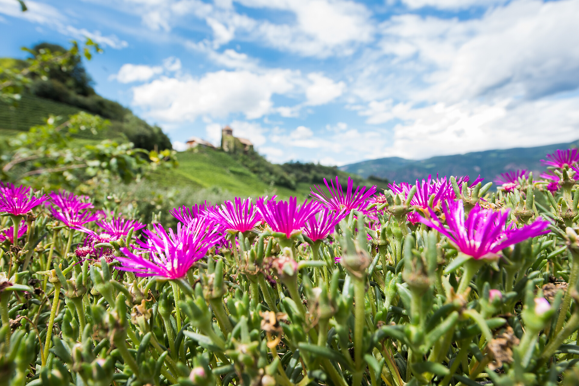 Residence Schloss Warth