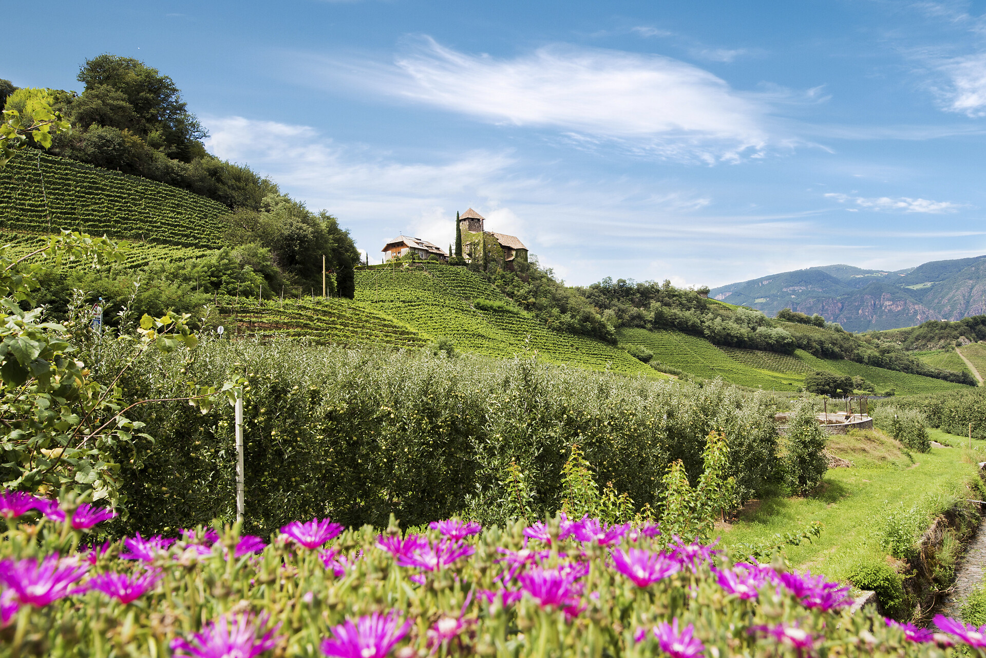 Residence Schloss Warth