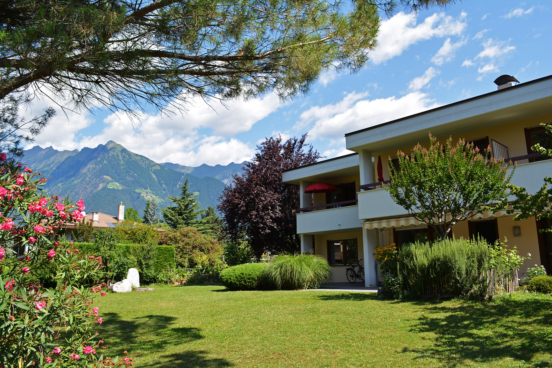 External view