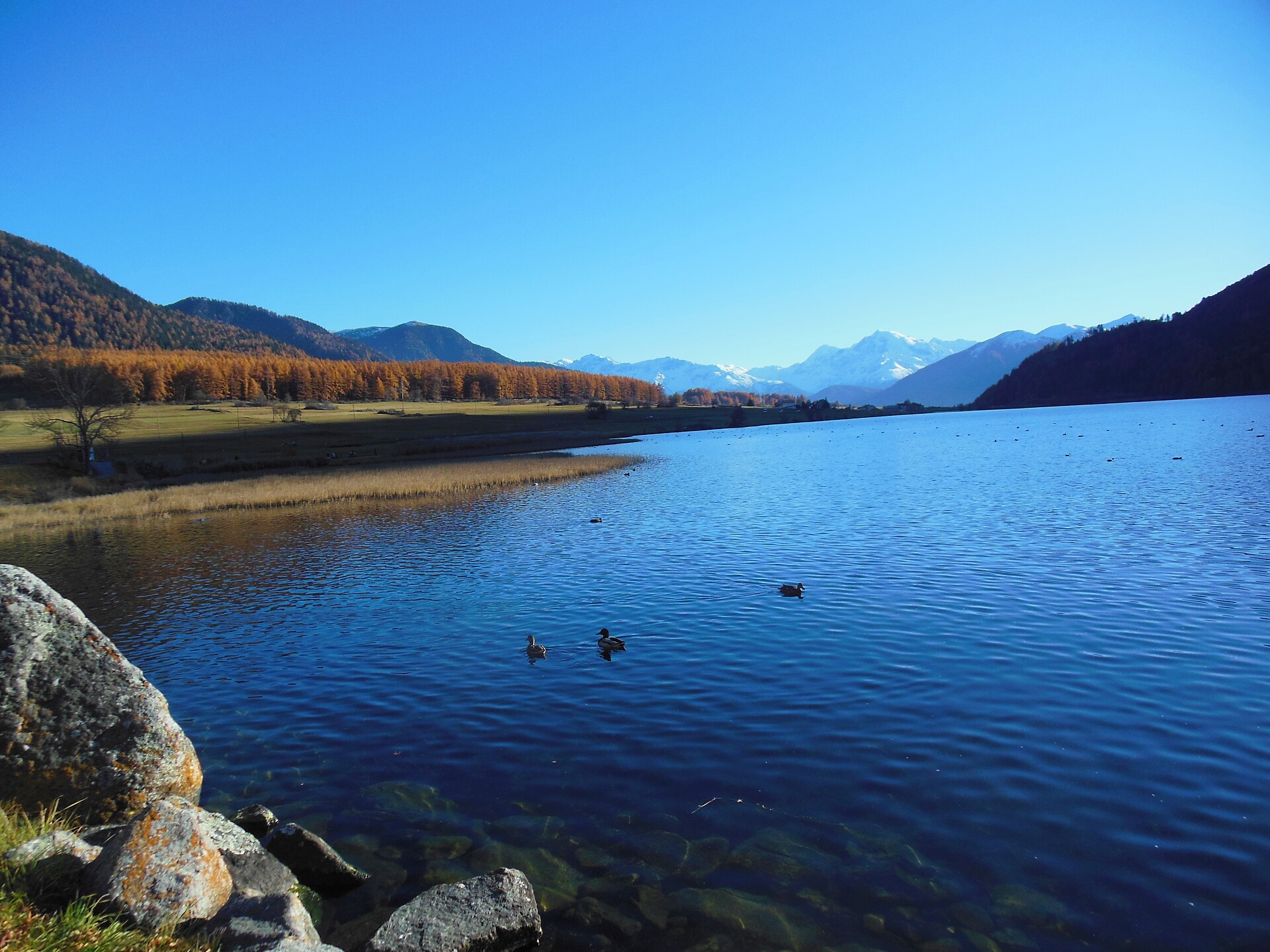 Haidersee