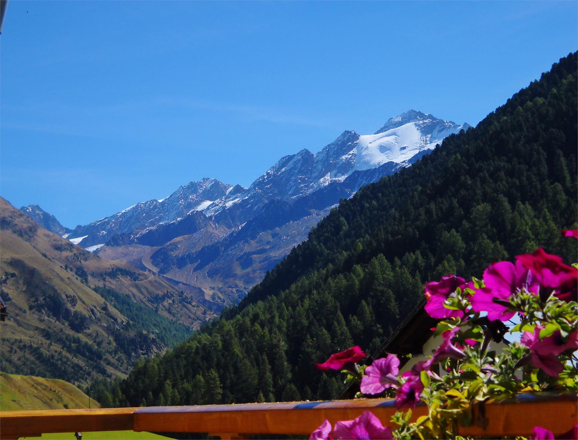 Residence Alpin Graun im Vinschgau/Curon Venosta 15 suedtirol.info