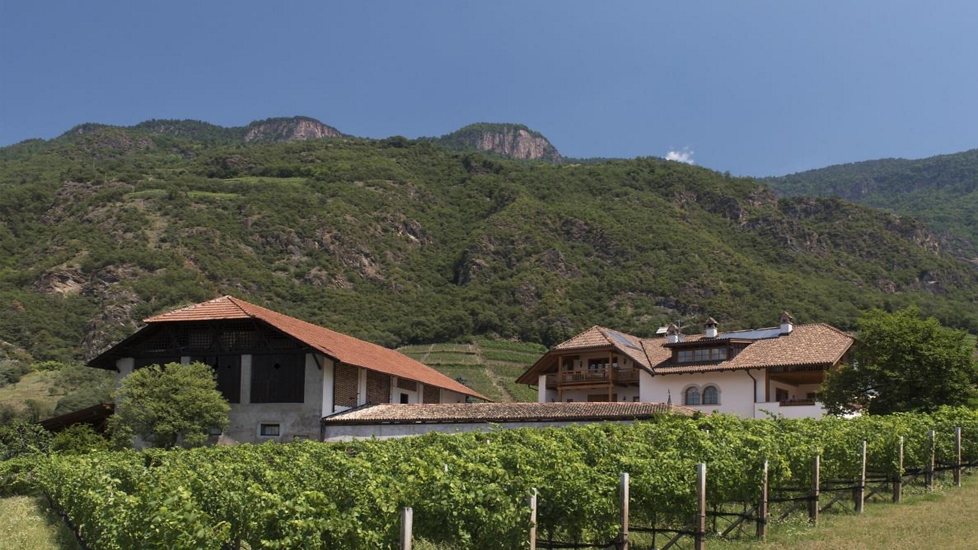 Azienda agricola di frutta e vino