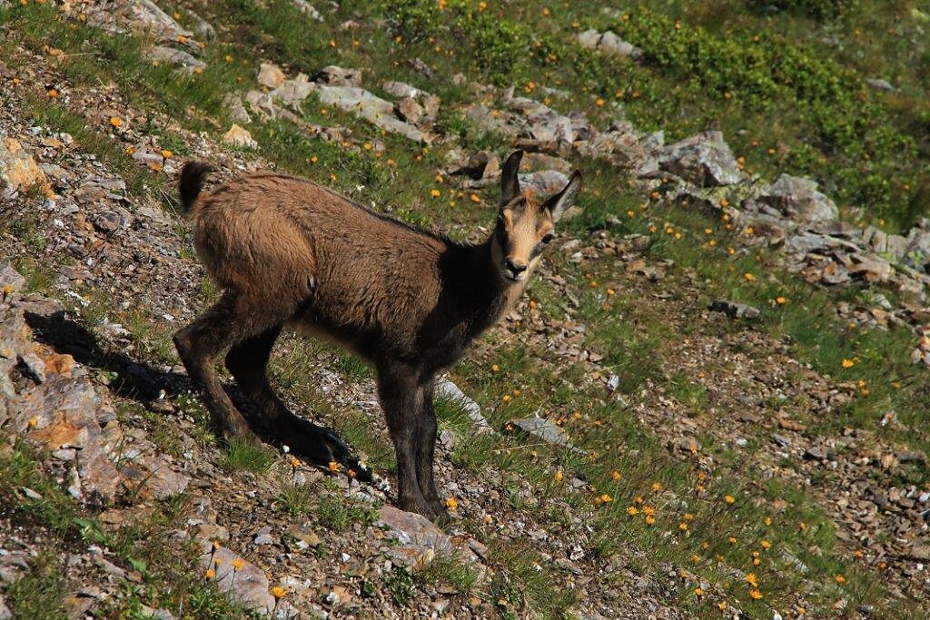 Urlaub auf dem Bauernhof, Rauchegg, Ultental, Südtirol