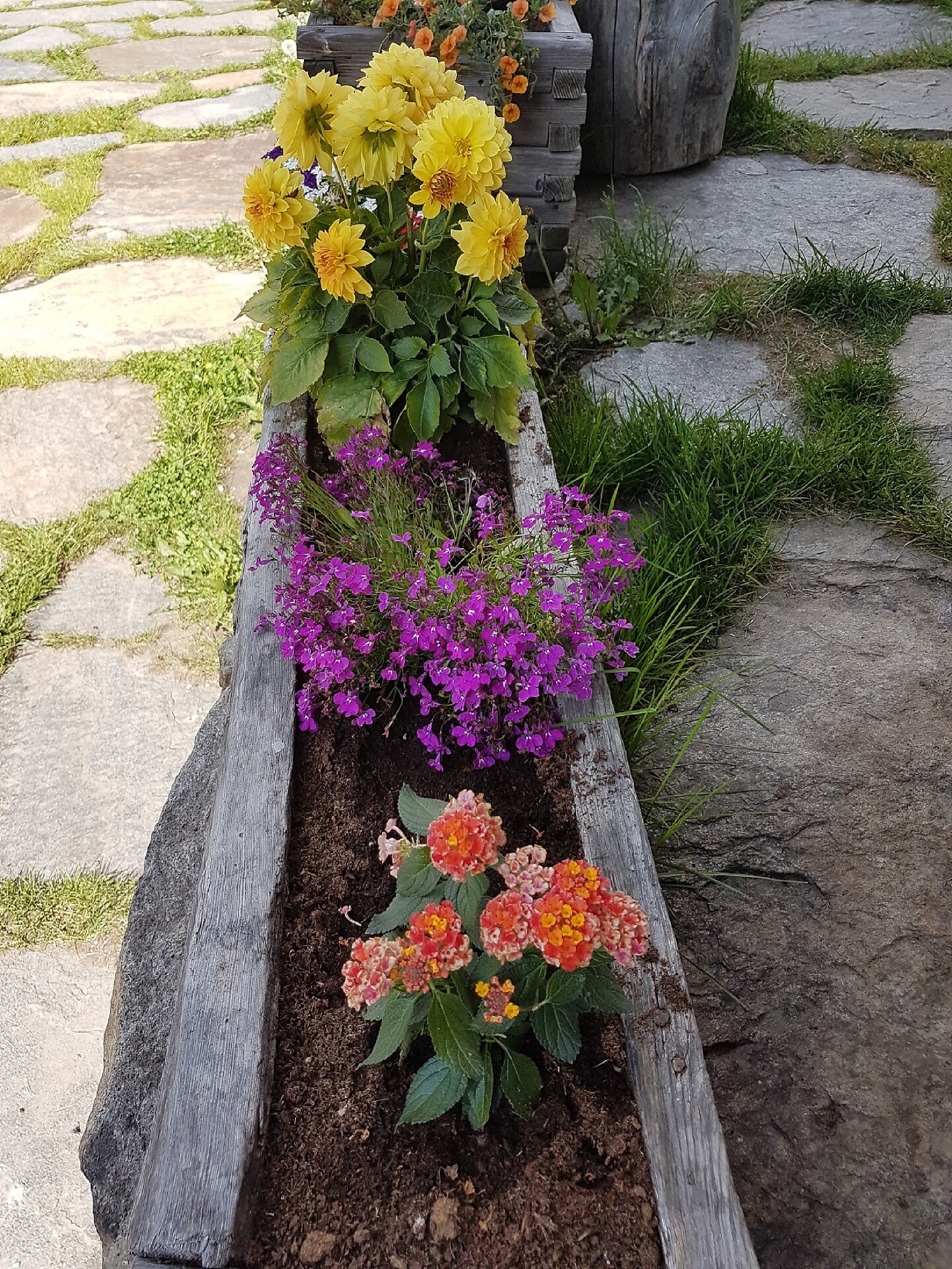 Blumen